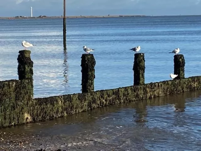 Sea view in Seaview B&B