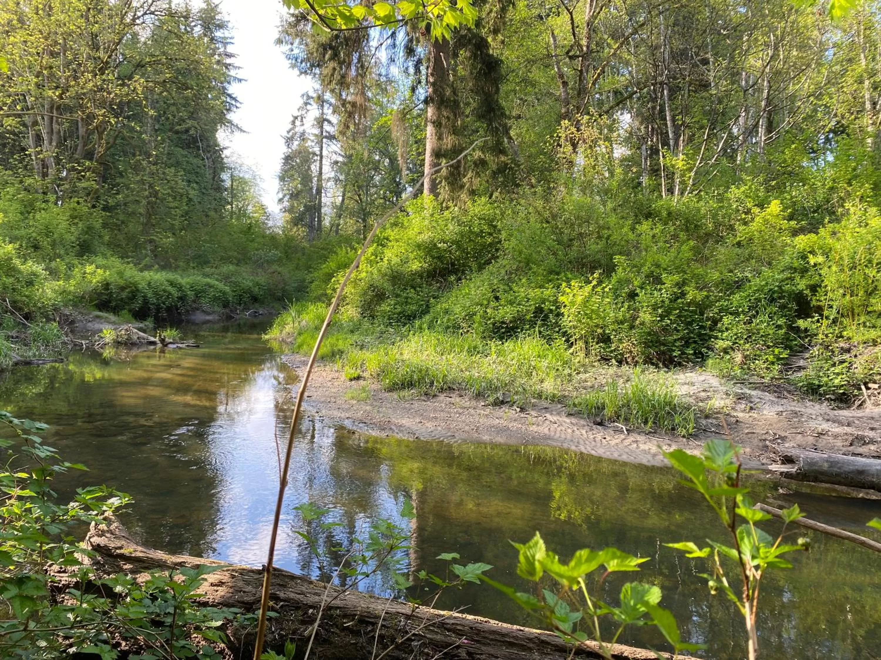 Natural Landscape in Jane's private rooms with shared washroom