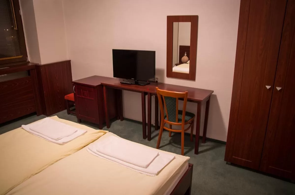 Bedroom, TV/Entertainment Center in Hotel Bothe