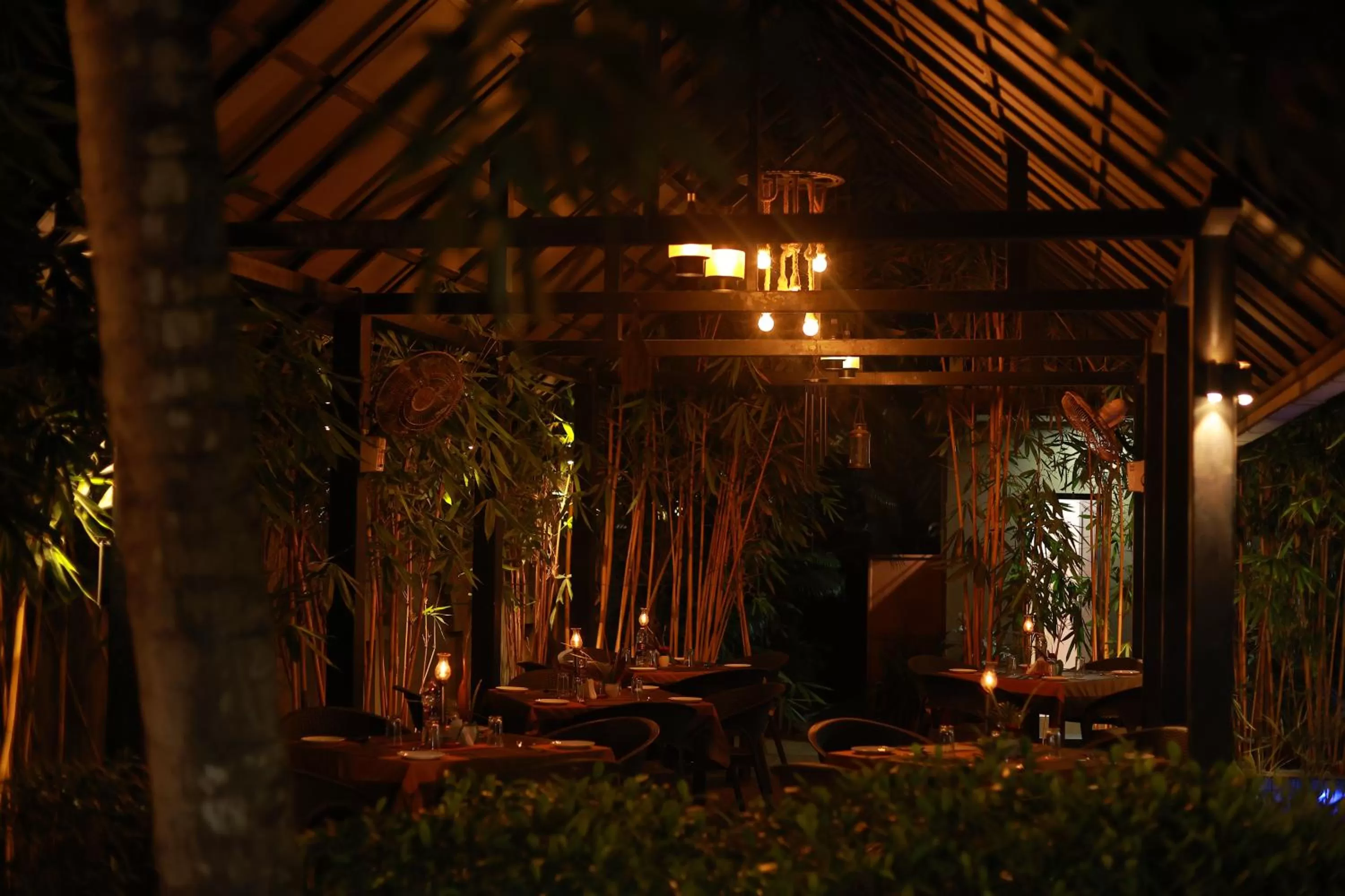 Ideal Ayurvedic Resort Kovalam