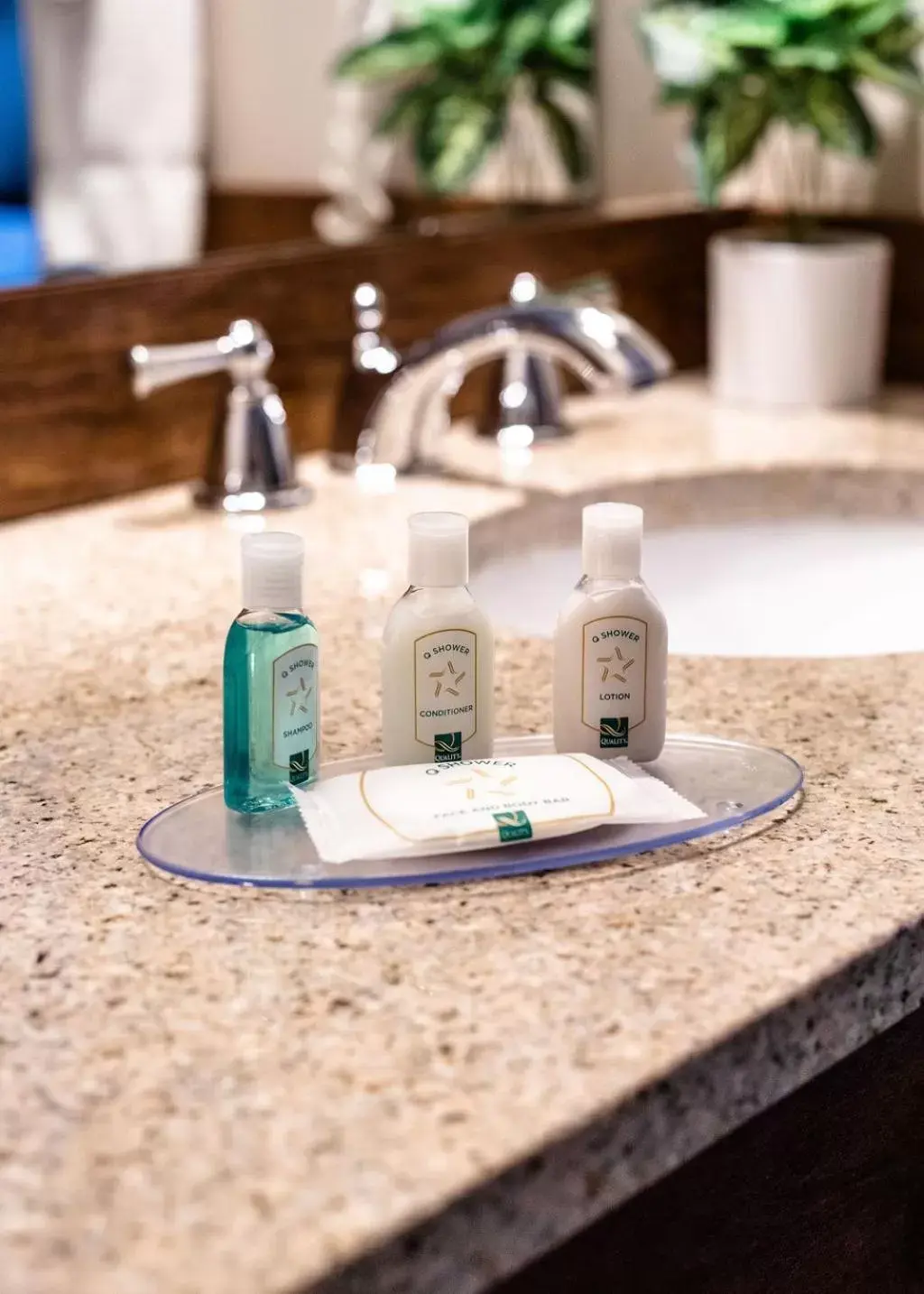 Efficiency King Room - Accessible/Non Smoking in Quality Inn & Suites Efficiency King Room - Accessible/Non Smoking in Quality Inn & Suites