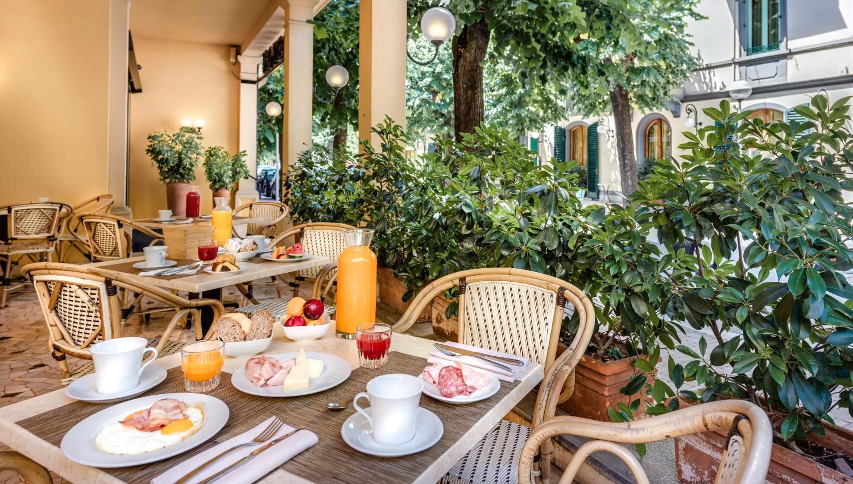 Garden in Hotel Boston