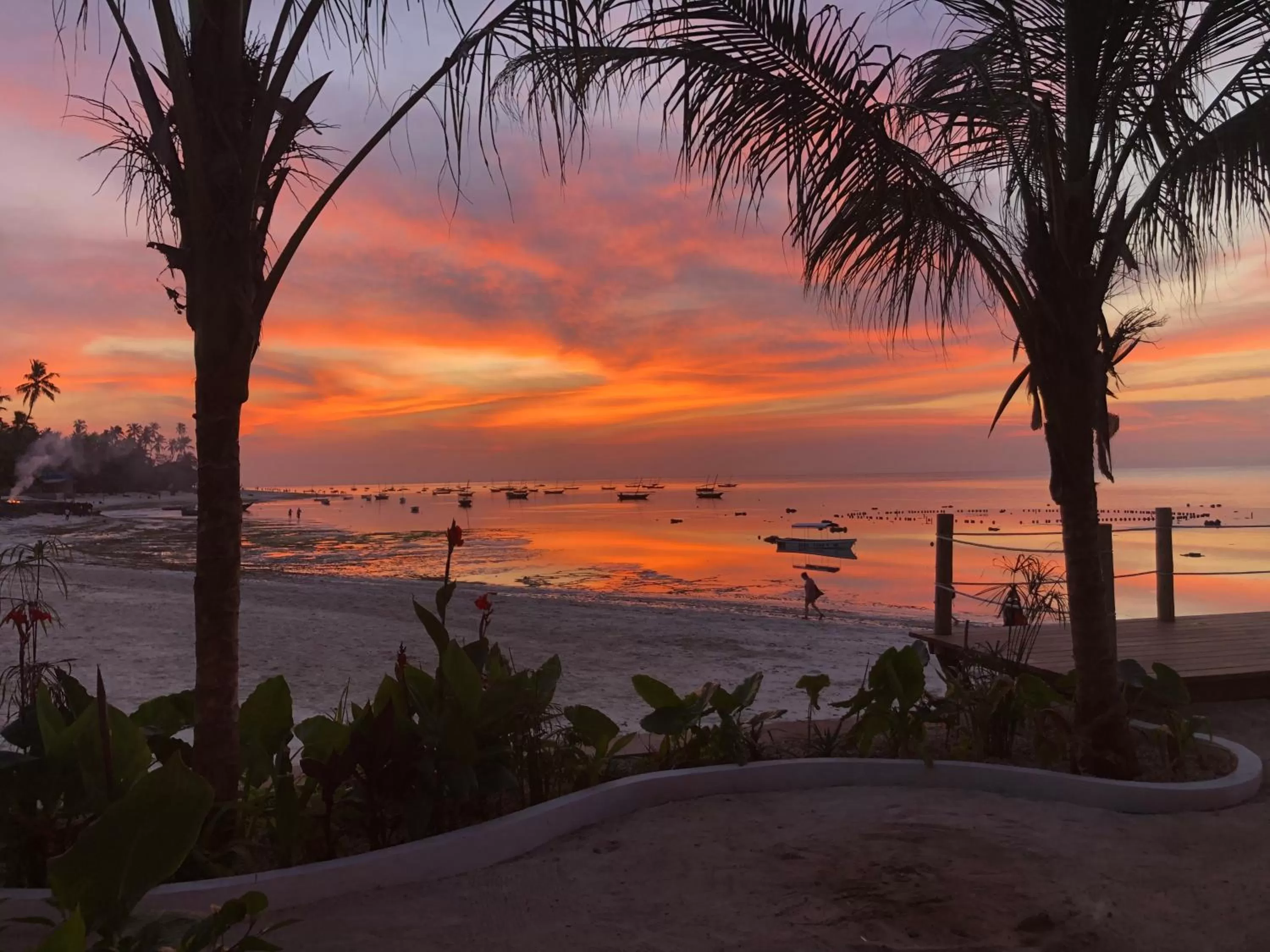Beach in Aluna Nungwi