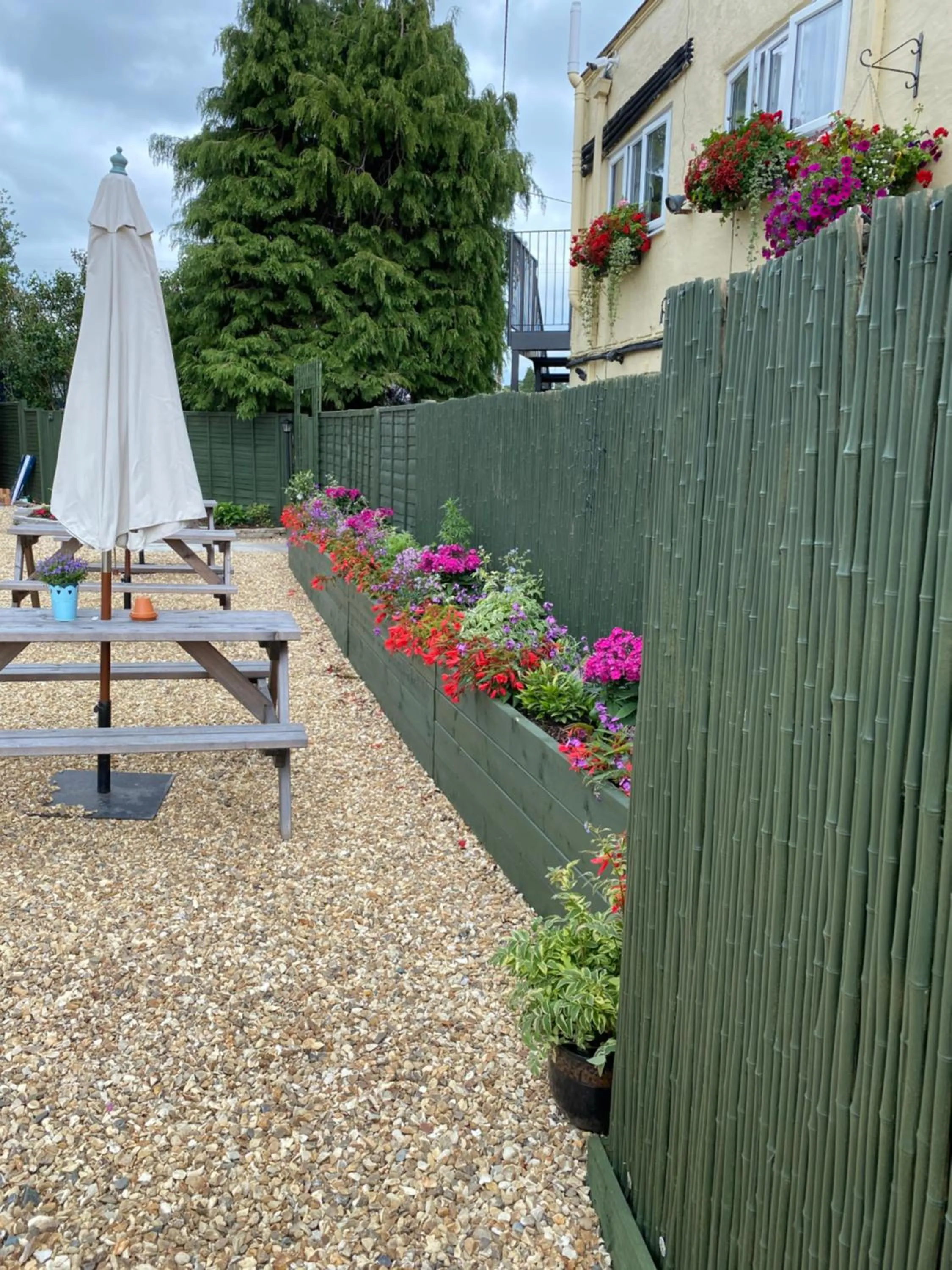 Day in Greyhound Country Inn