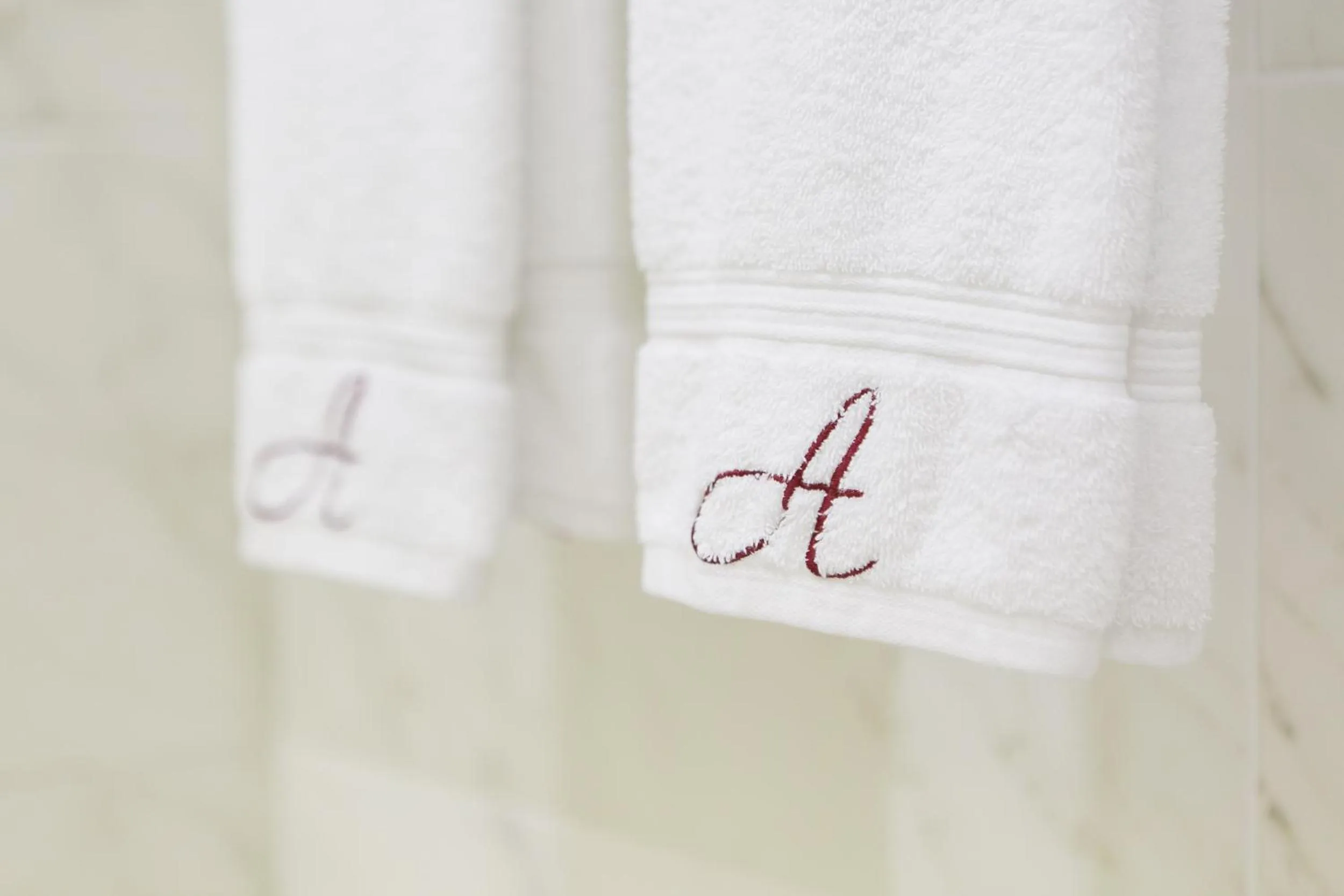 Logo/Certificate/Sign in Ambassador