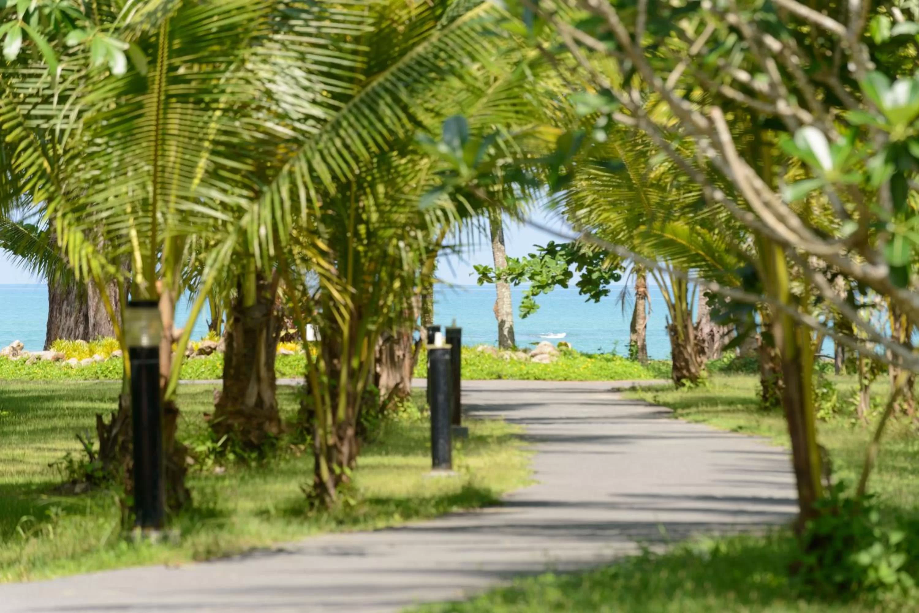 Beach in Khaolak Bhandari Resort & Spa
