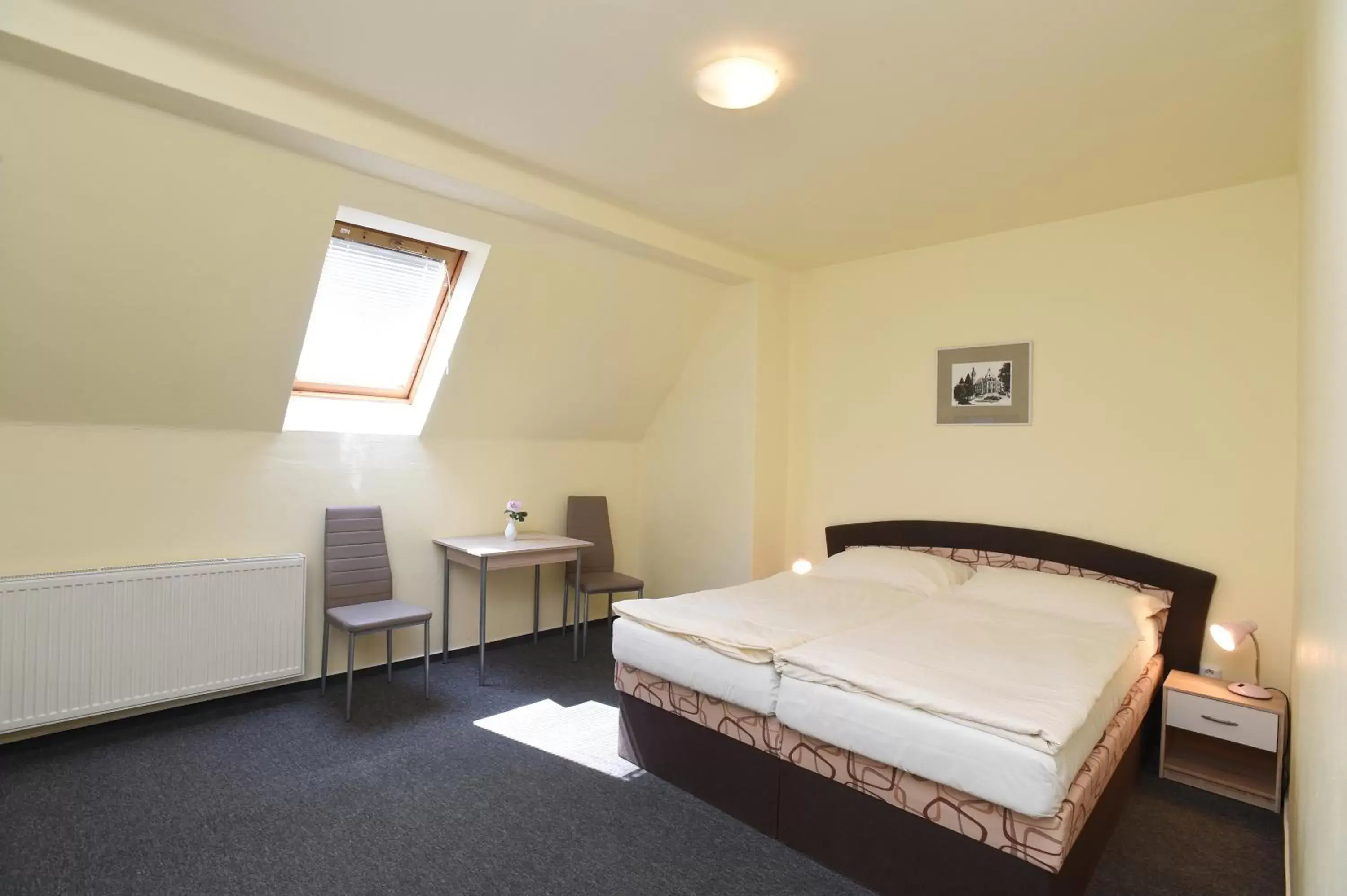 Double Room in Hotel U Jezírka Double Room in Hotel U Jezírka