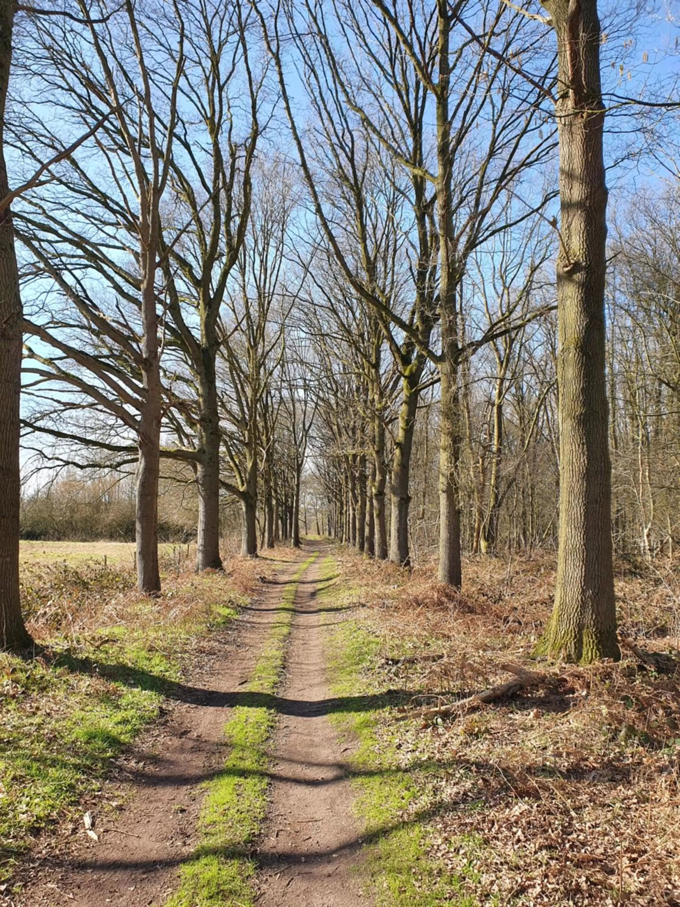 Natural landscape in B & B de Stok