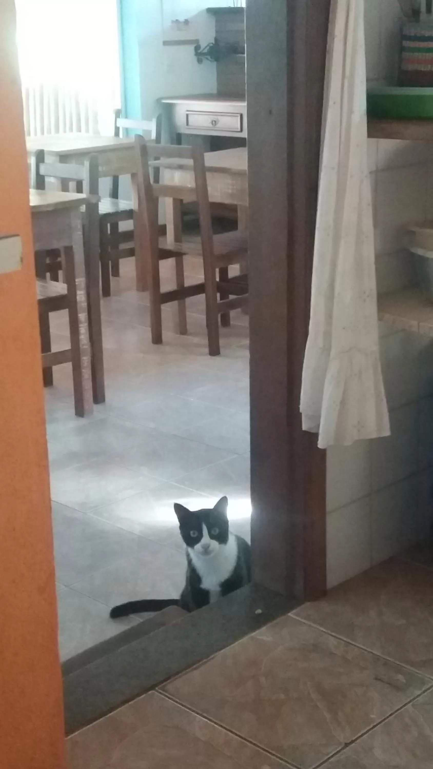 Pets in Pousada Barcarola