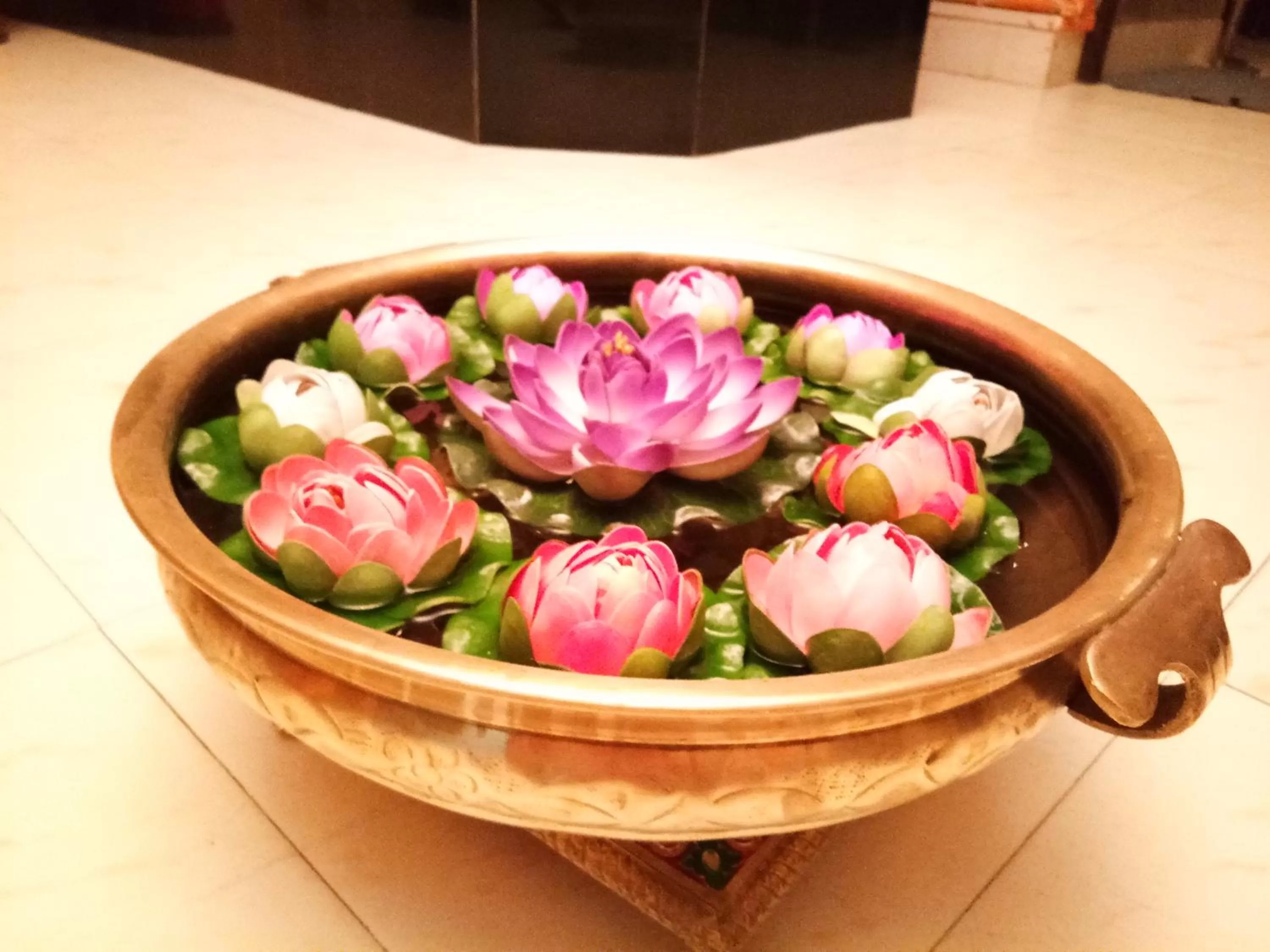 Other, Food in Haveli Taragarh Palace