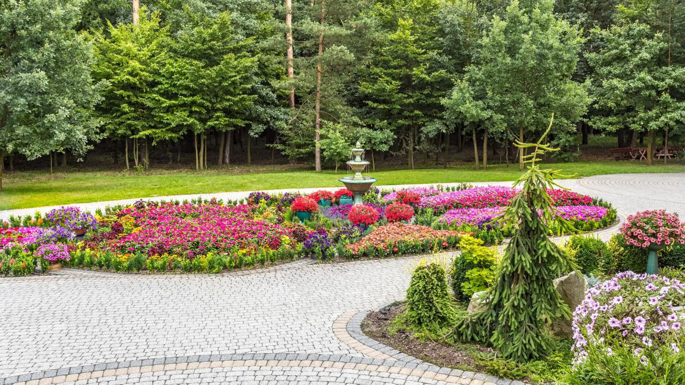 Leśna Perła - Restauracja i Pokoje Hotelowe