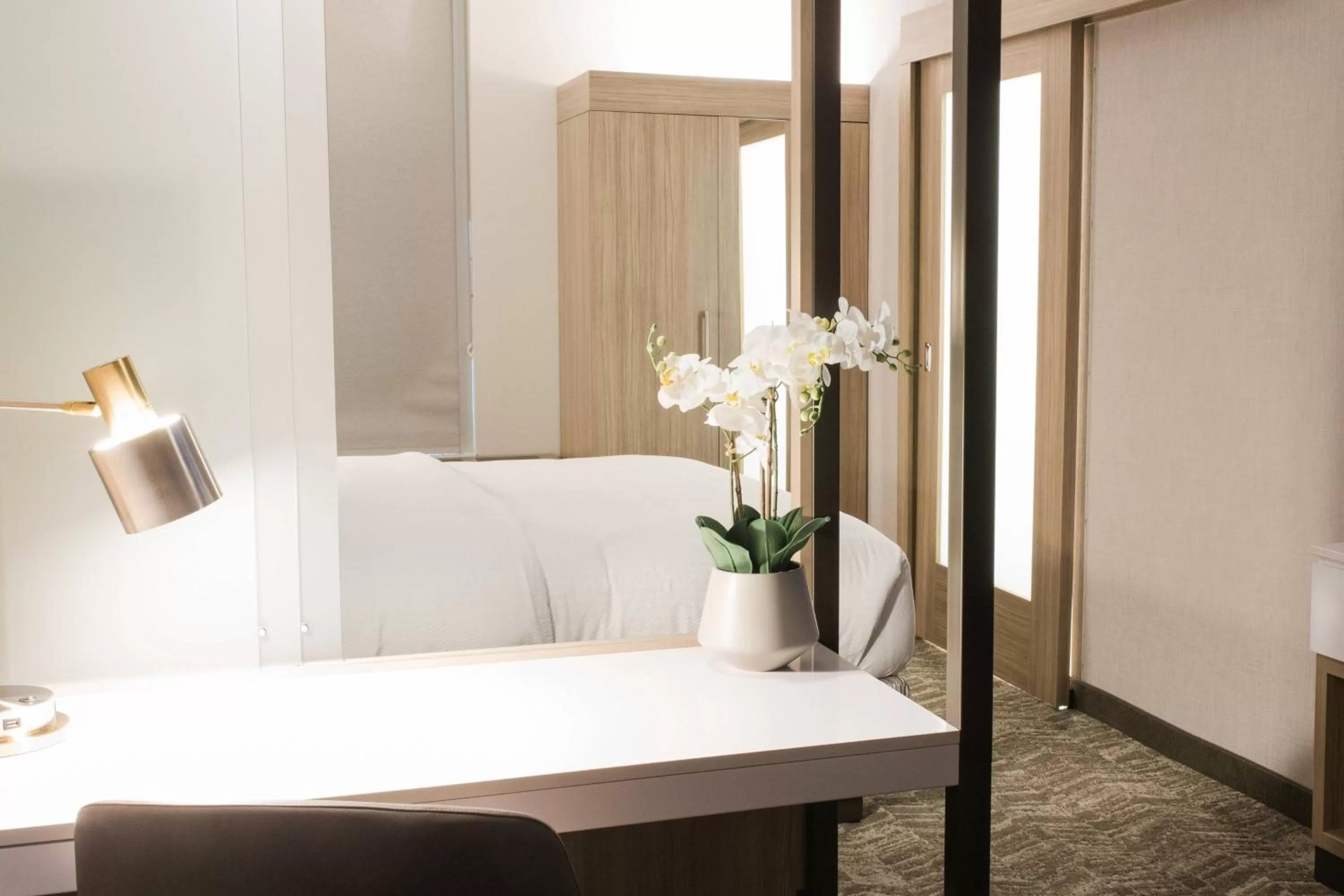 King Suite with Trundle Bed - Hearing Accessible in SpringHill Suites by Marriott Birmingham Gardendale