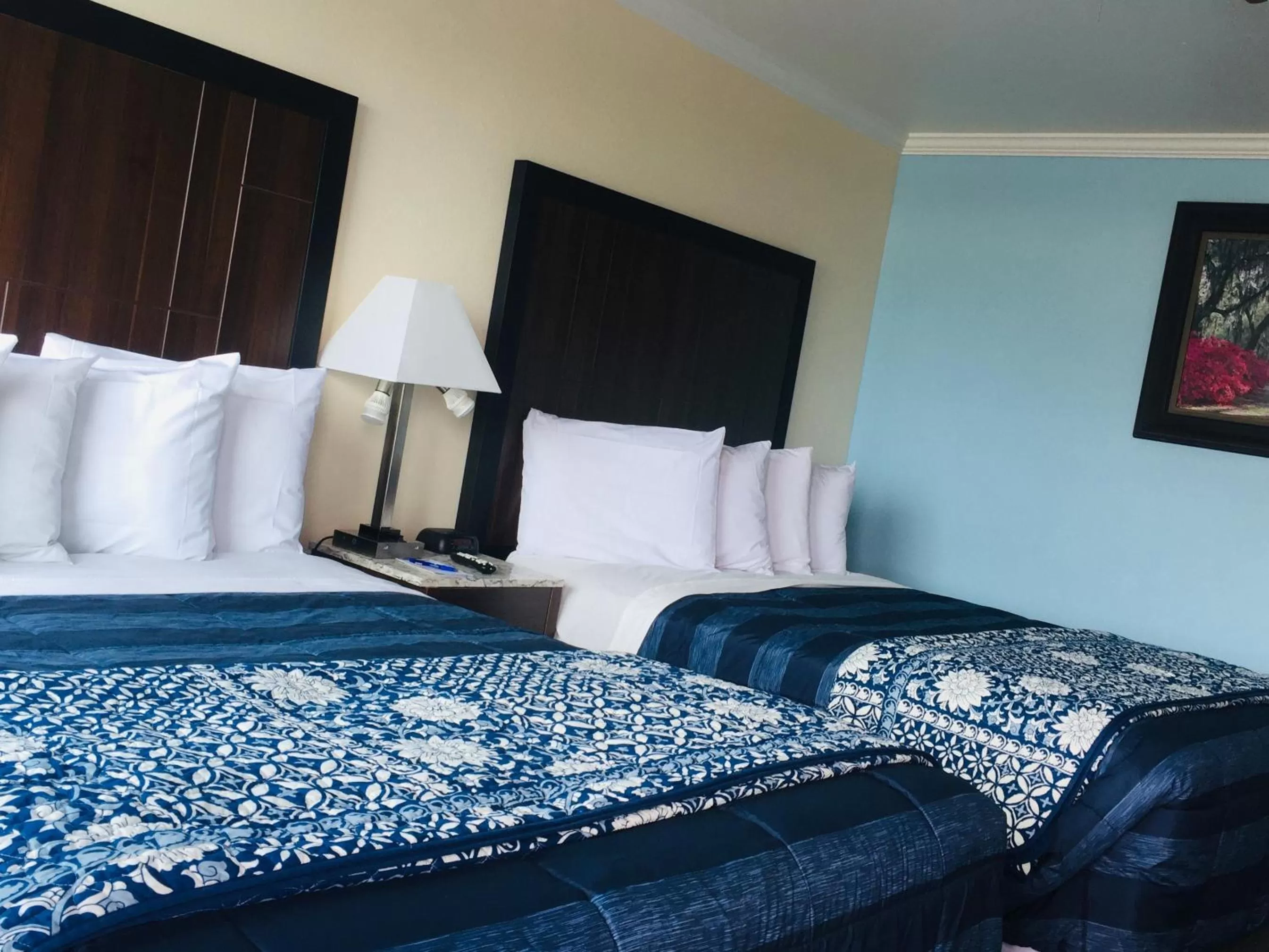 Bed in Dolphin Cove Motel