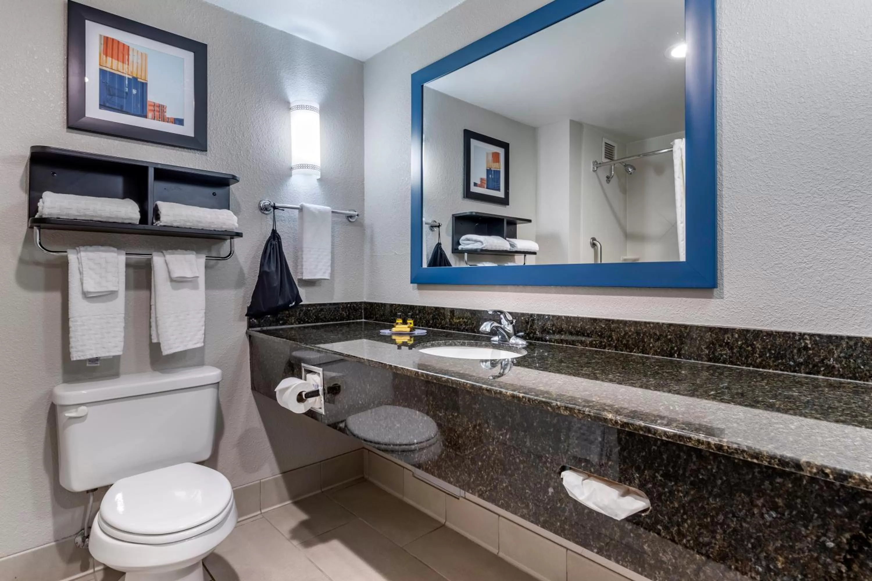 Toilet in Best Western Plus Castlerock Inn & Suites