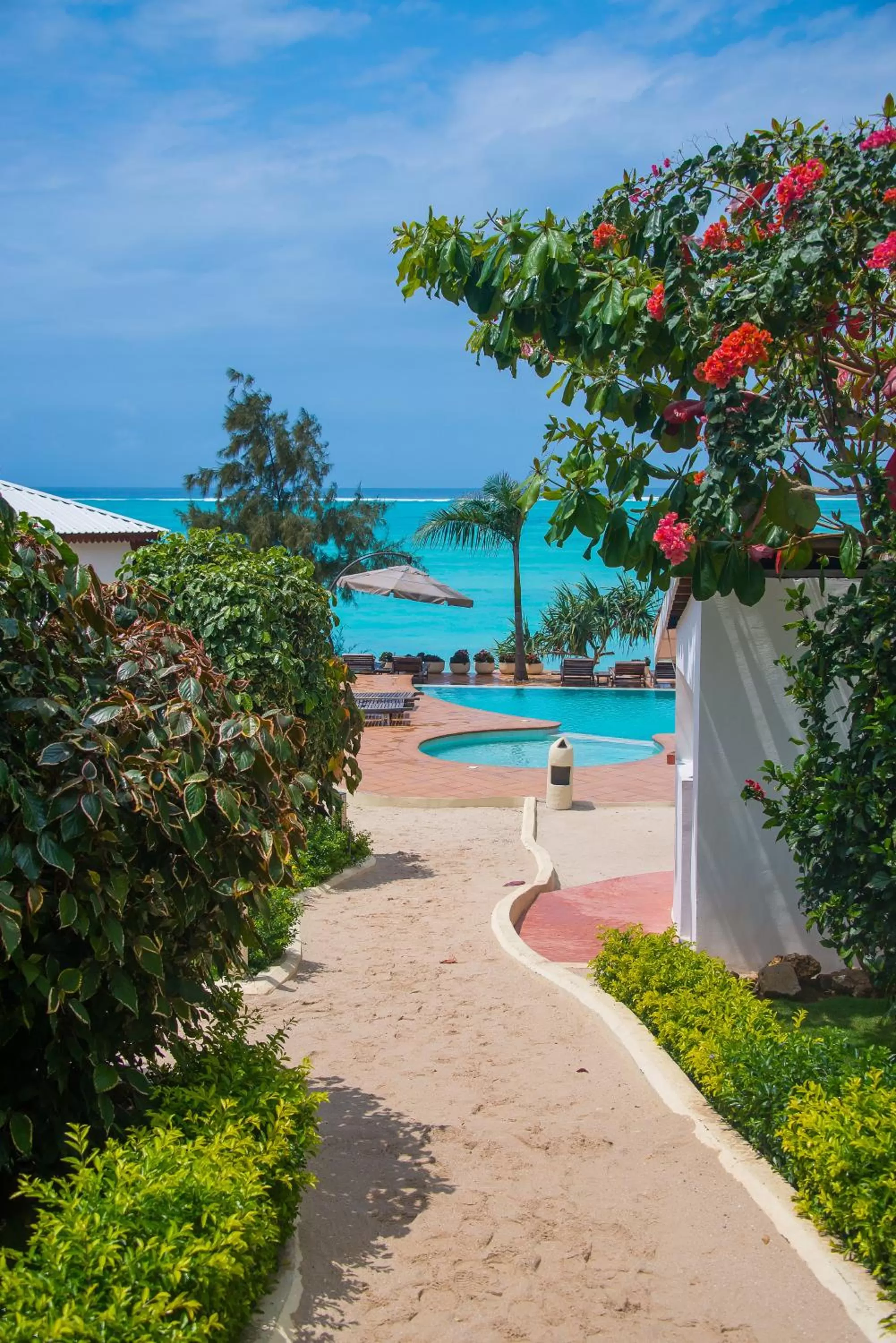 Garden, Swimming Pool in Warere Beach