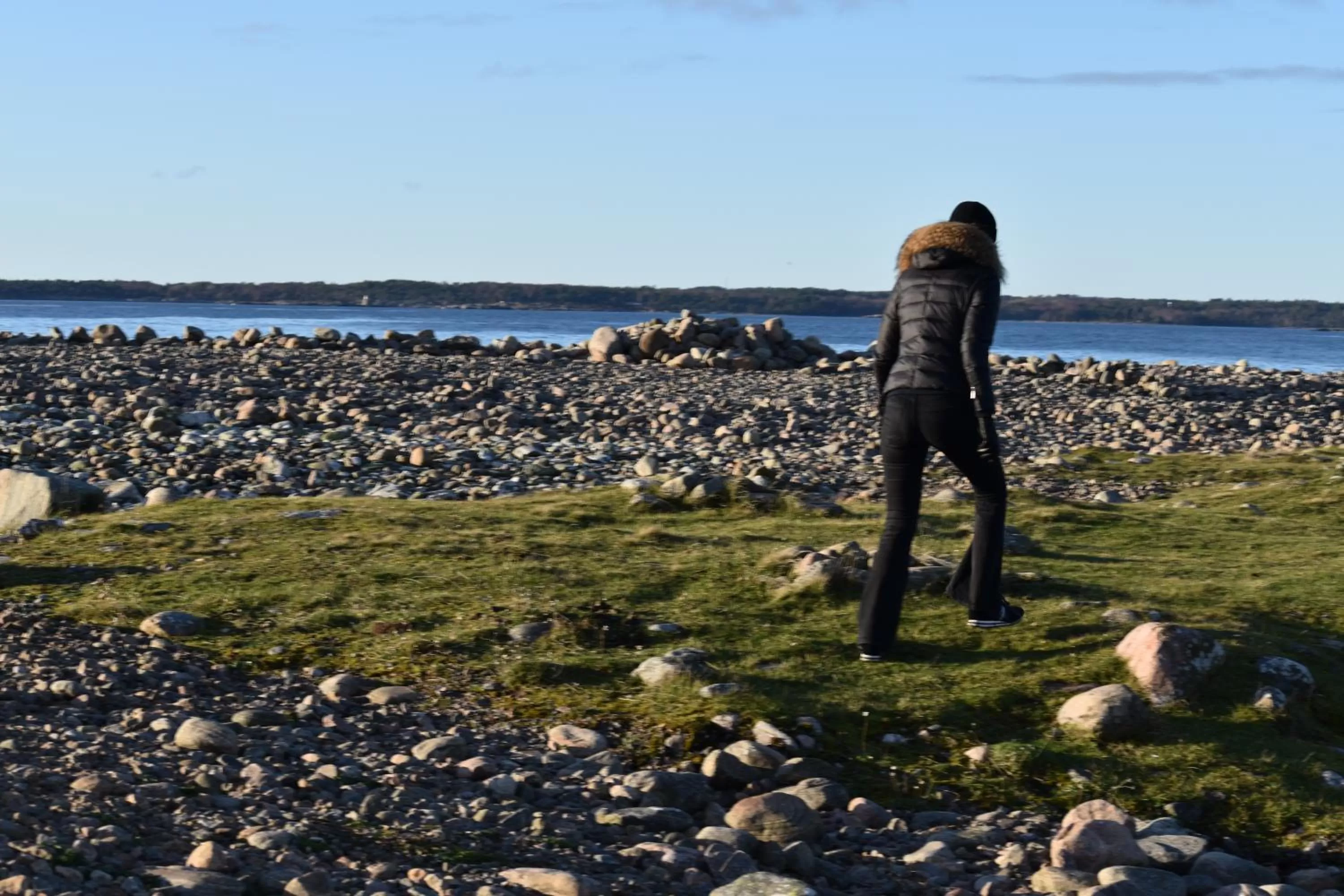 Natural landscape in Åsa Jutegård