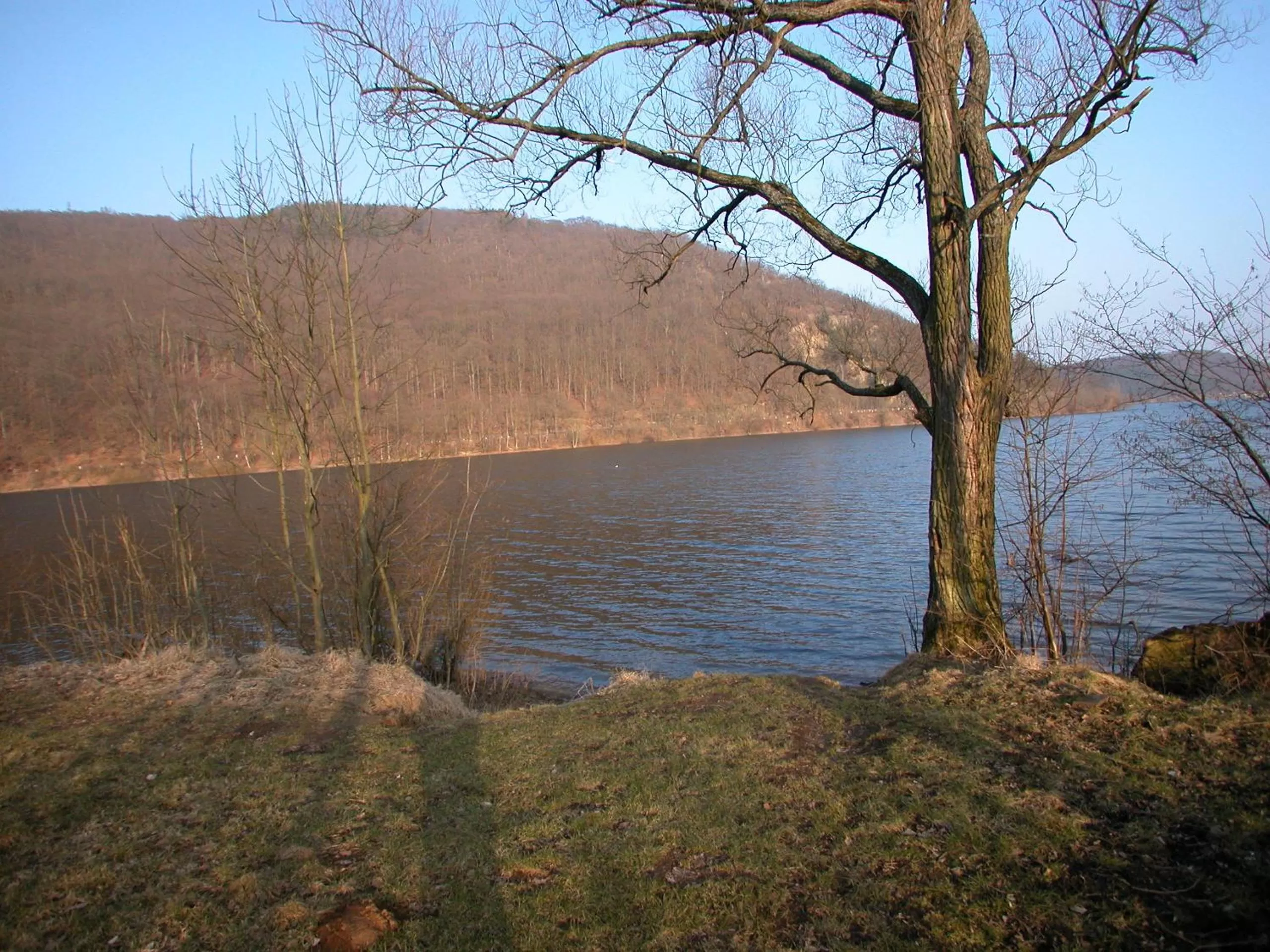Natural landscape in Hotel Goldflair am Rathaus