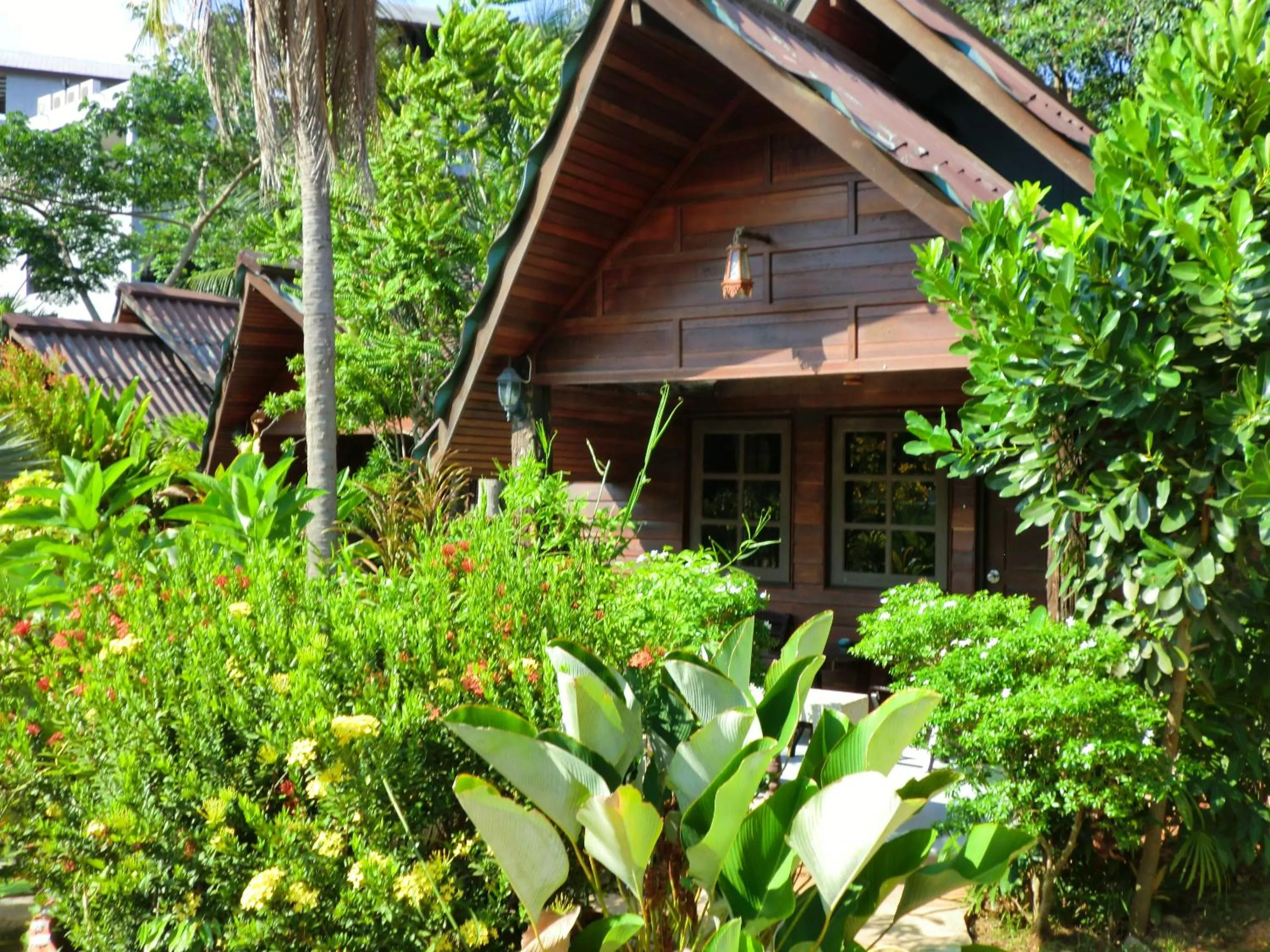 Garden in The Krabi Forest Homestay