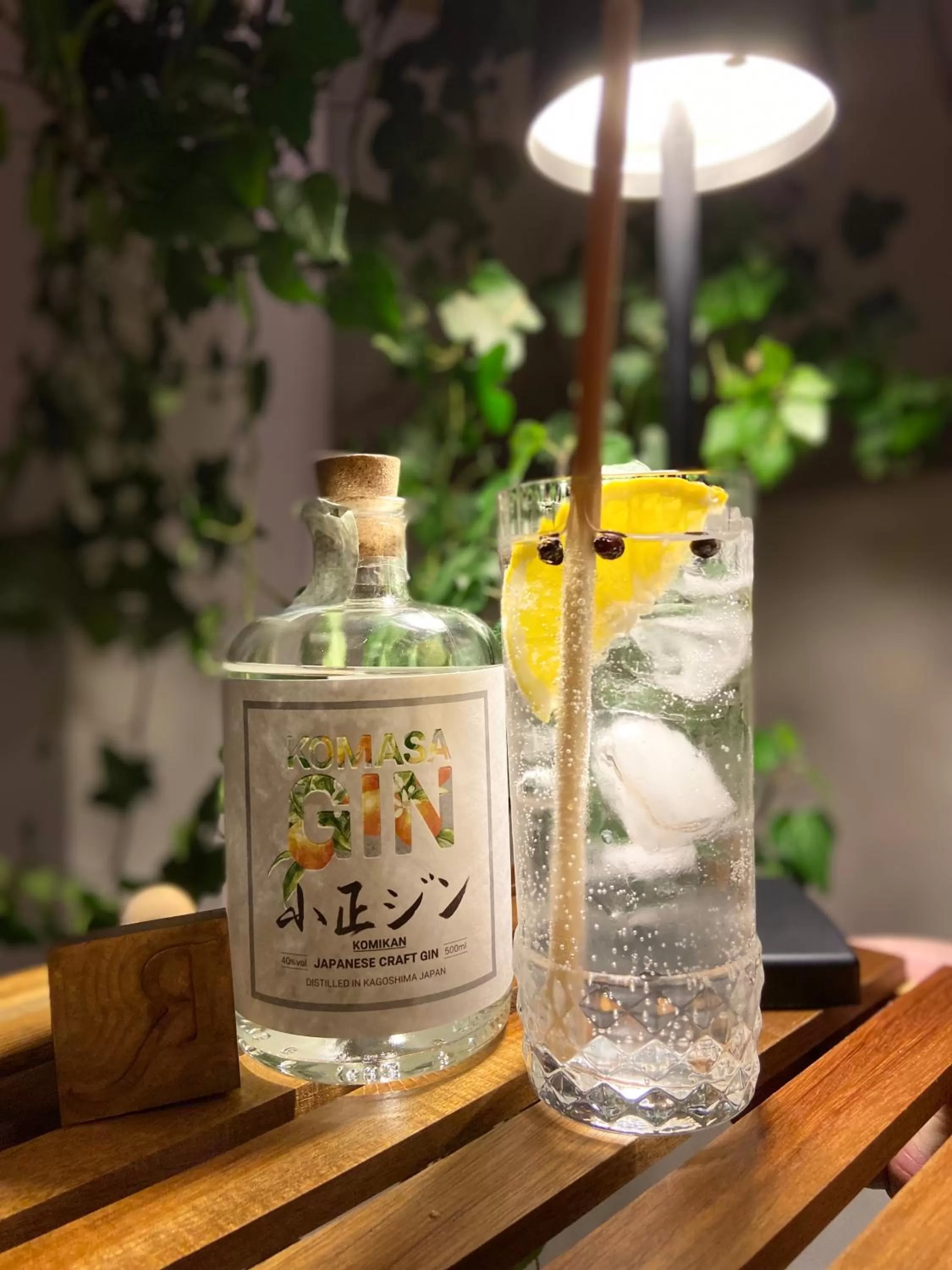 Alcoholic drinks in LUXURY SUITES ROCOPOM - Lake Front