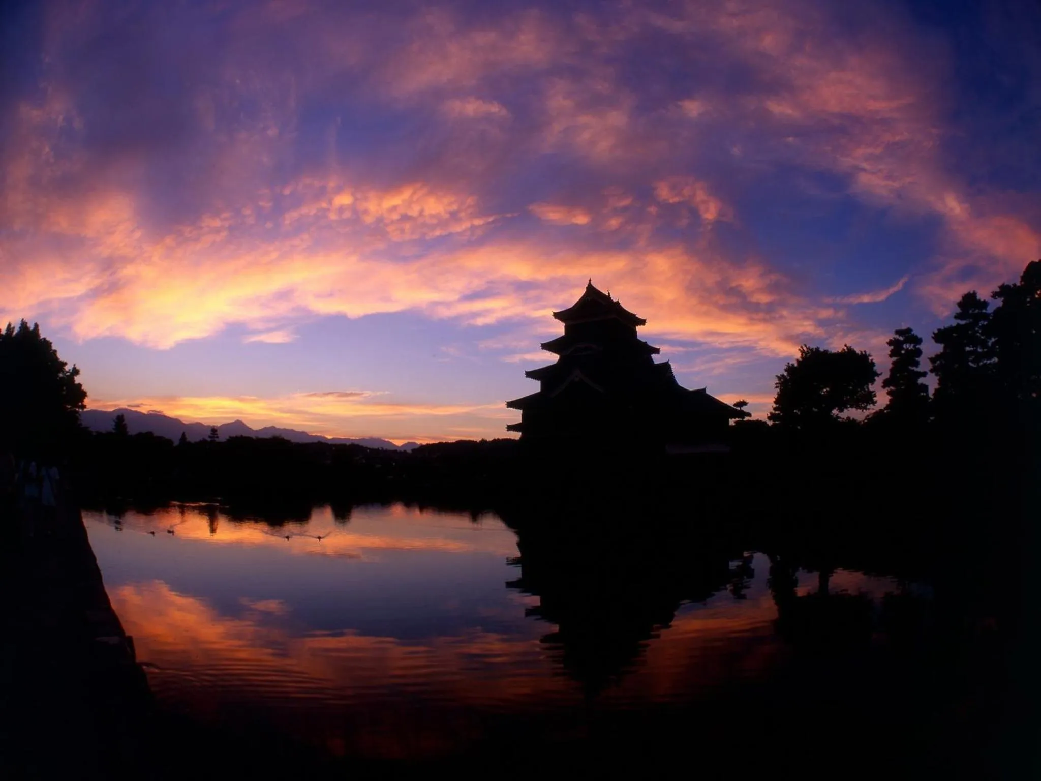 Area and facilities in Hotel Buena Vista
