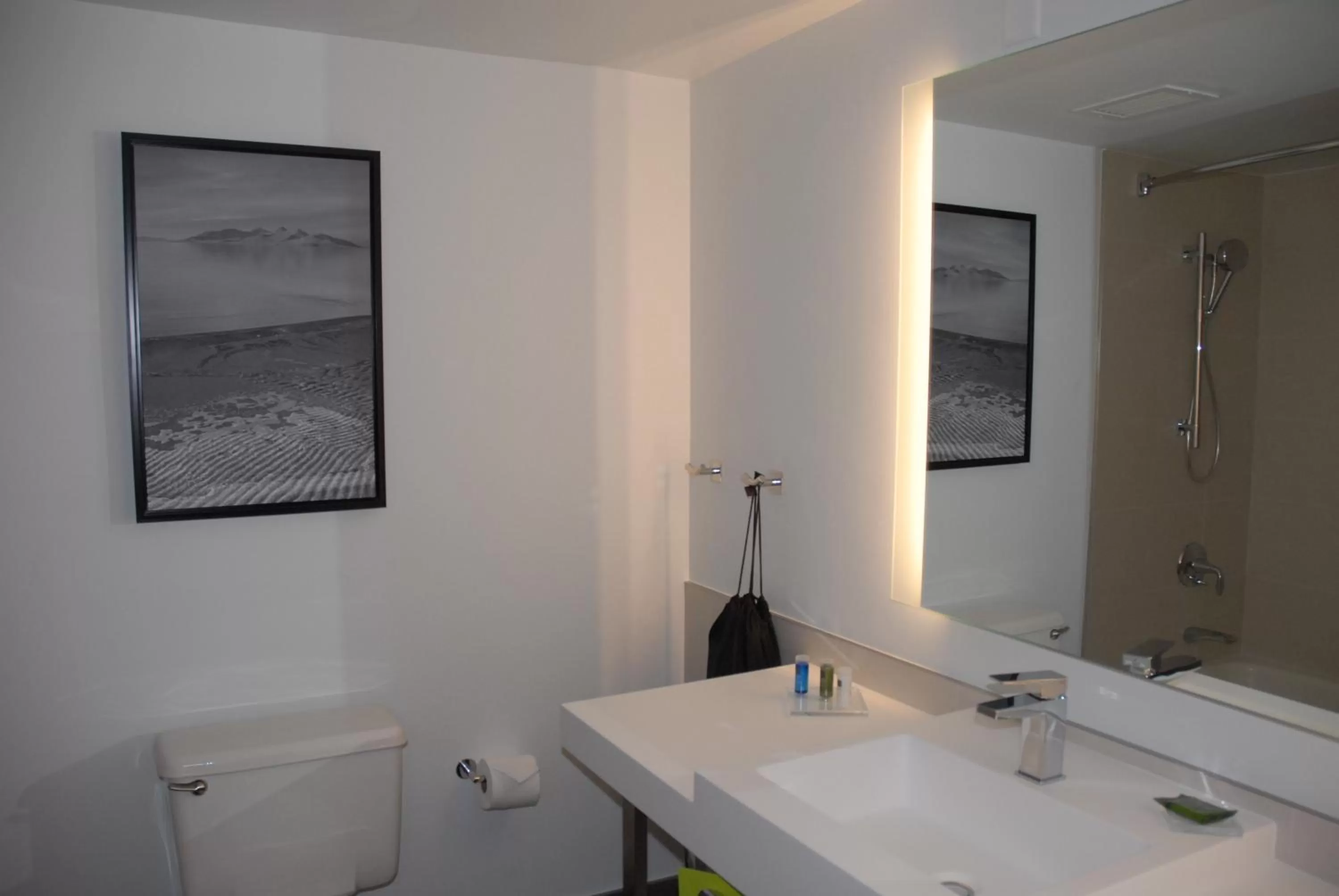 Bathroom in Radisson Hotel Salt Lake City Downtown