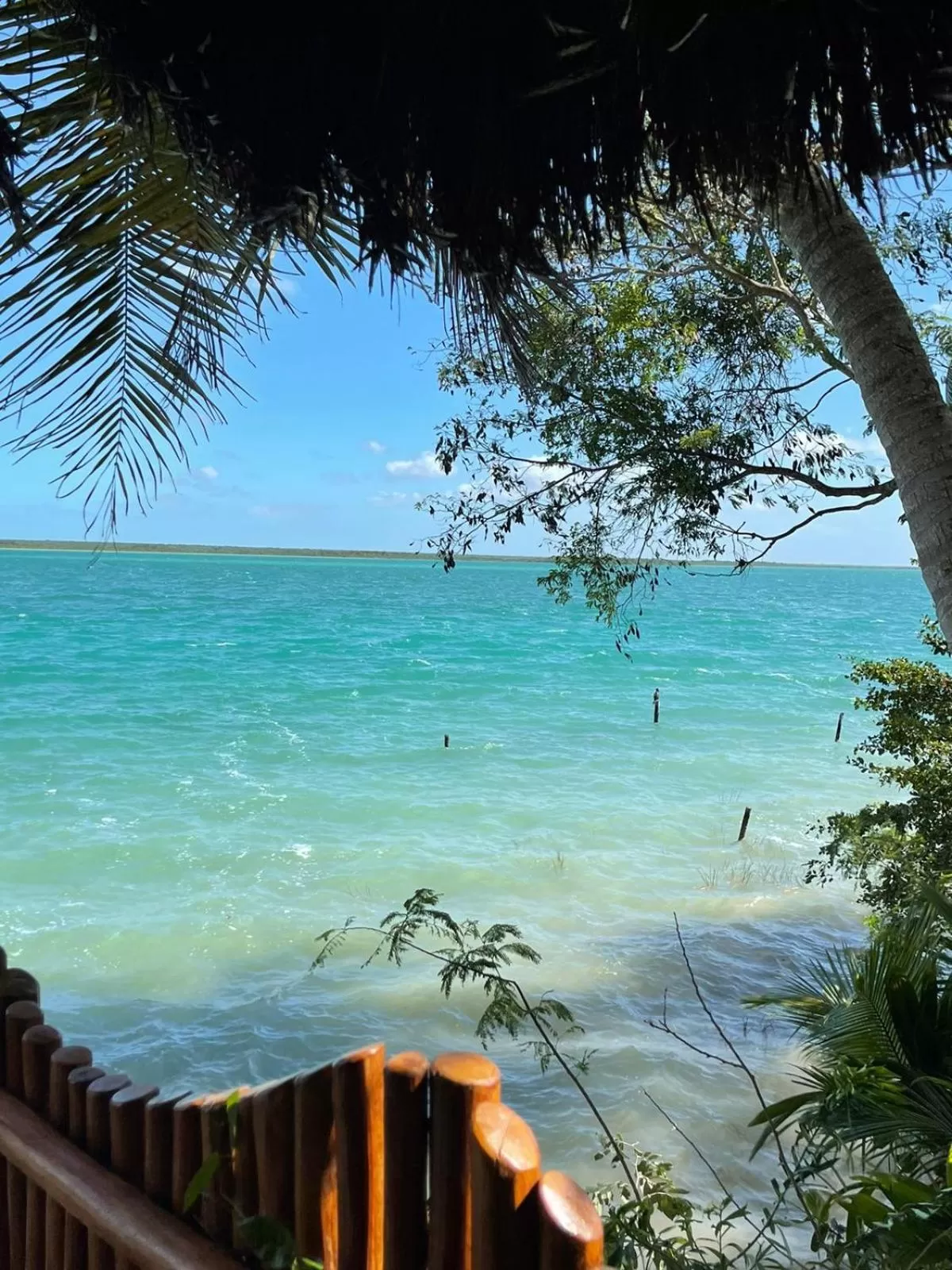 Natural landscape in Mi Kasa Tu Kasa Bacalar