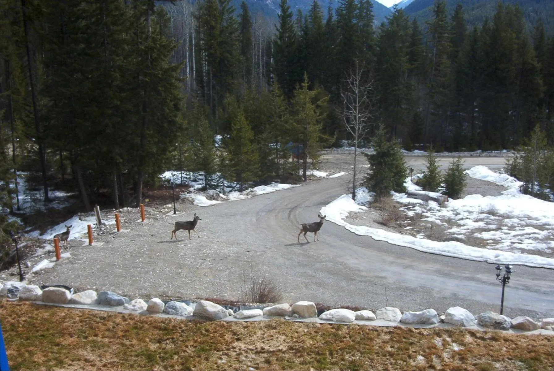 Area and facilities in Glenogle Mountain Lodge and Spa