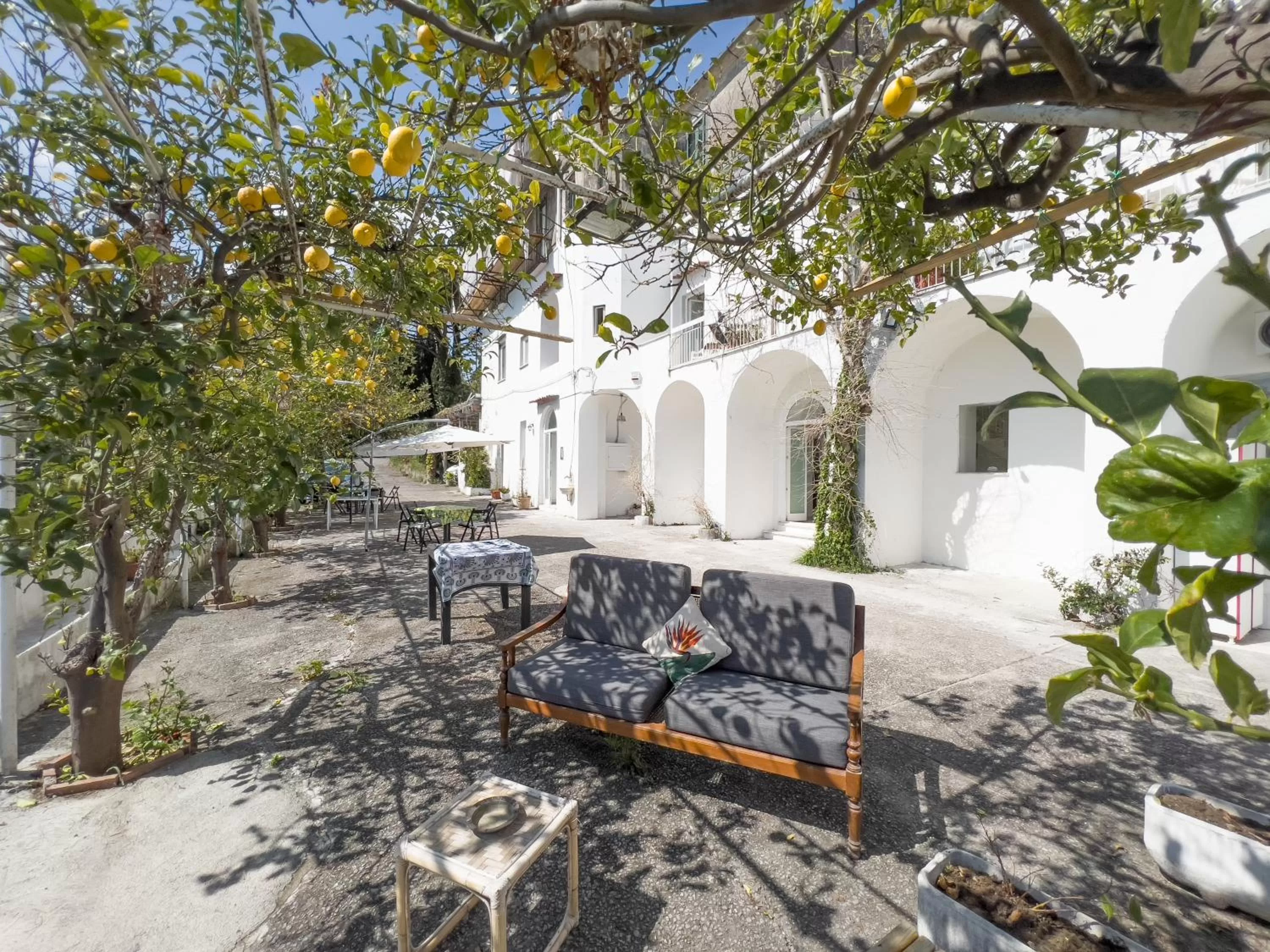 Garden, Property Building in Casa Niná