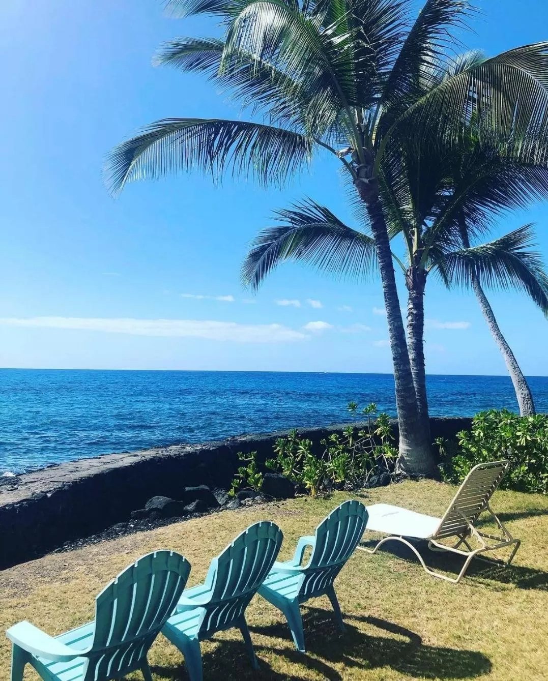 View (from property/room) in Kona Tiki Hotel - No Resort Fees