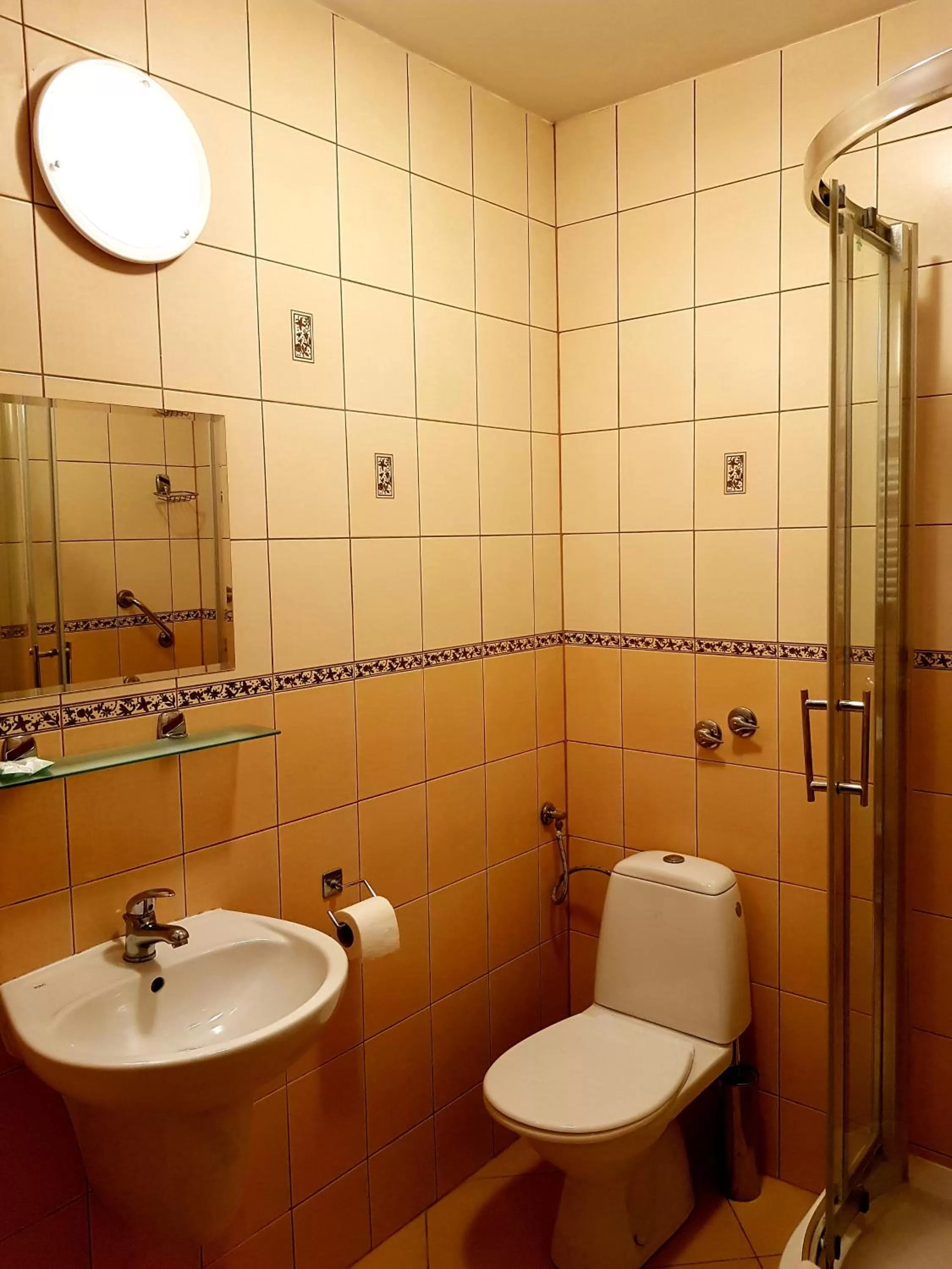 Shower, Bathroom in Hotel Iskra