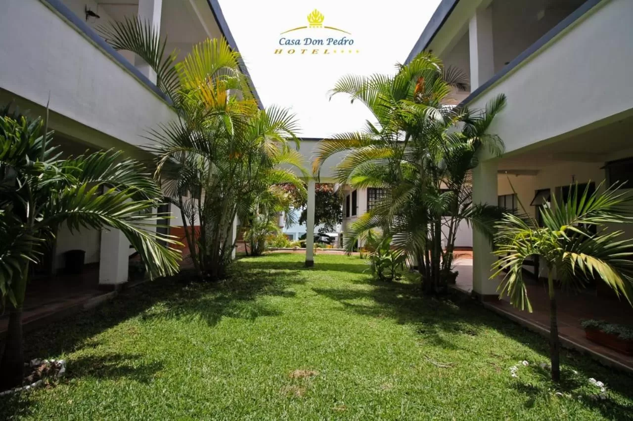 Garden in Hotel Casa don Pedro