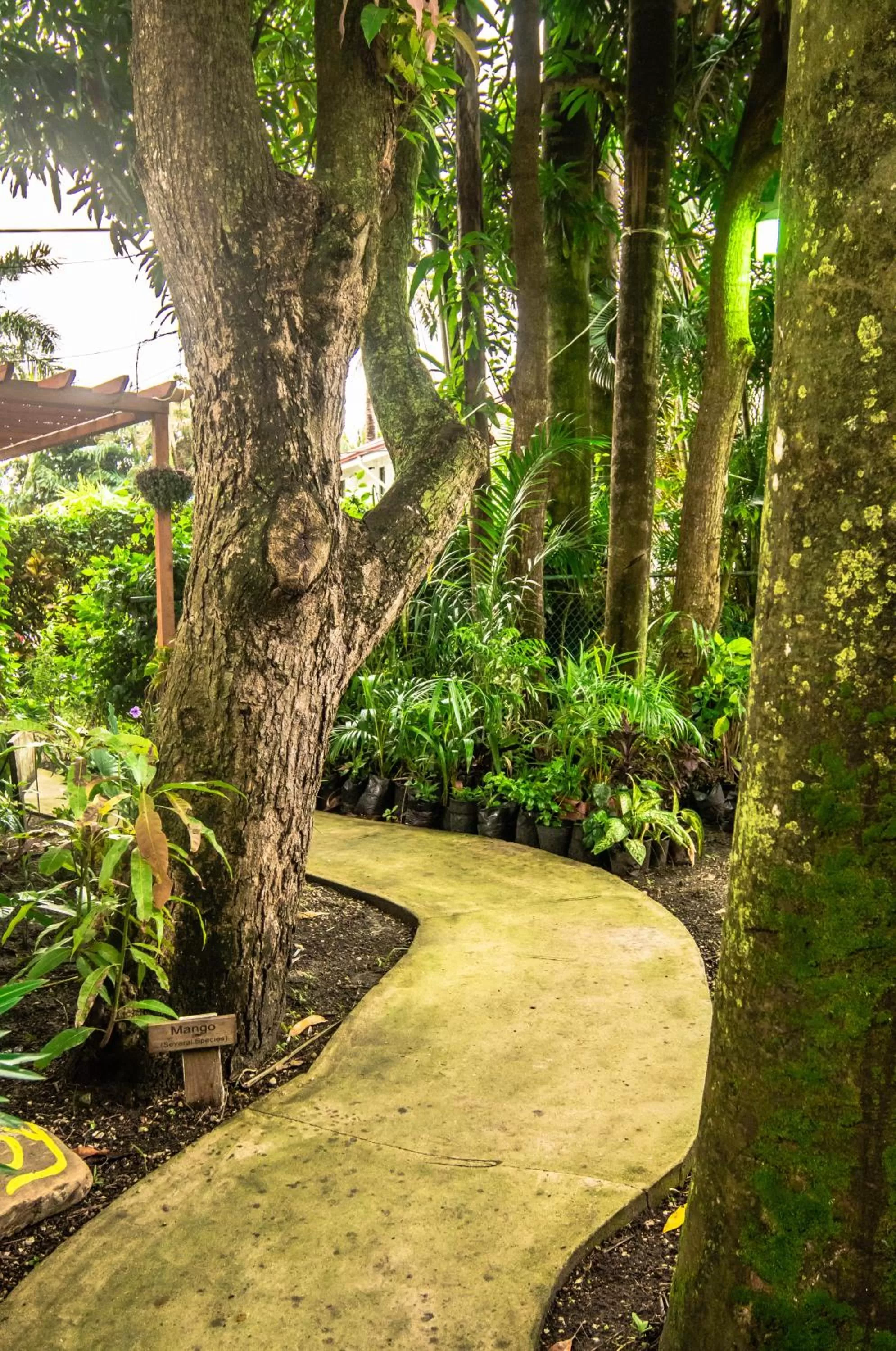 Natural landscape in Harbour View Boutique Hotel & Wellness Retreat