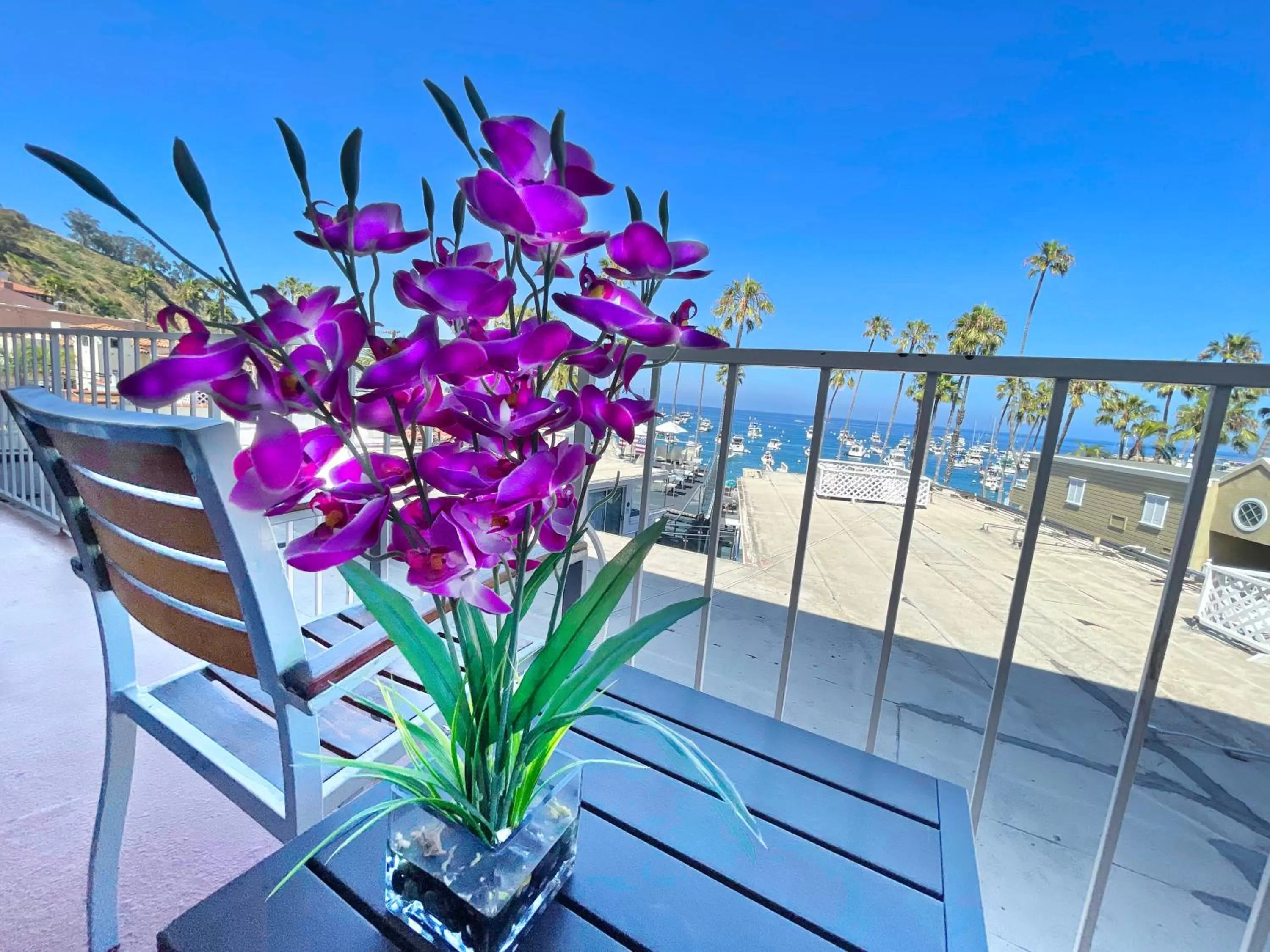 View (from property/room) in Catalina Courtyard Suites