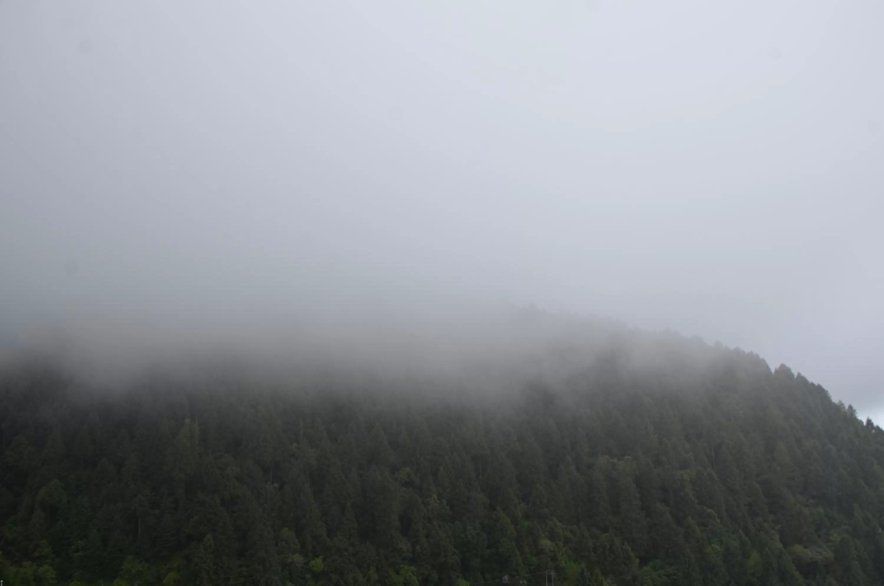 Natural landscape in Best Western Dalhousie