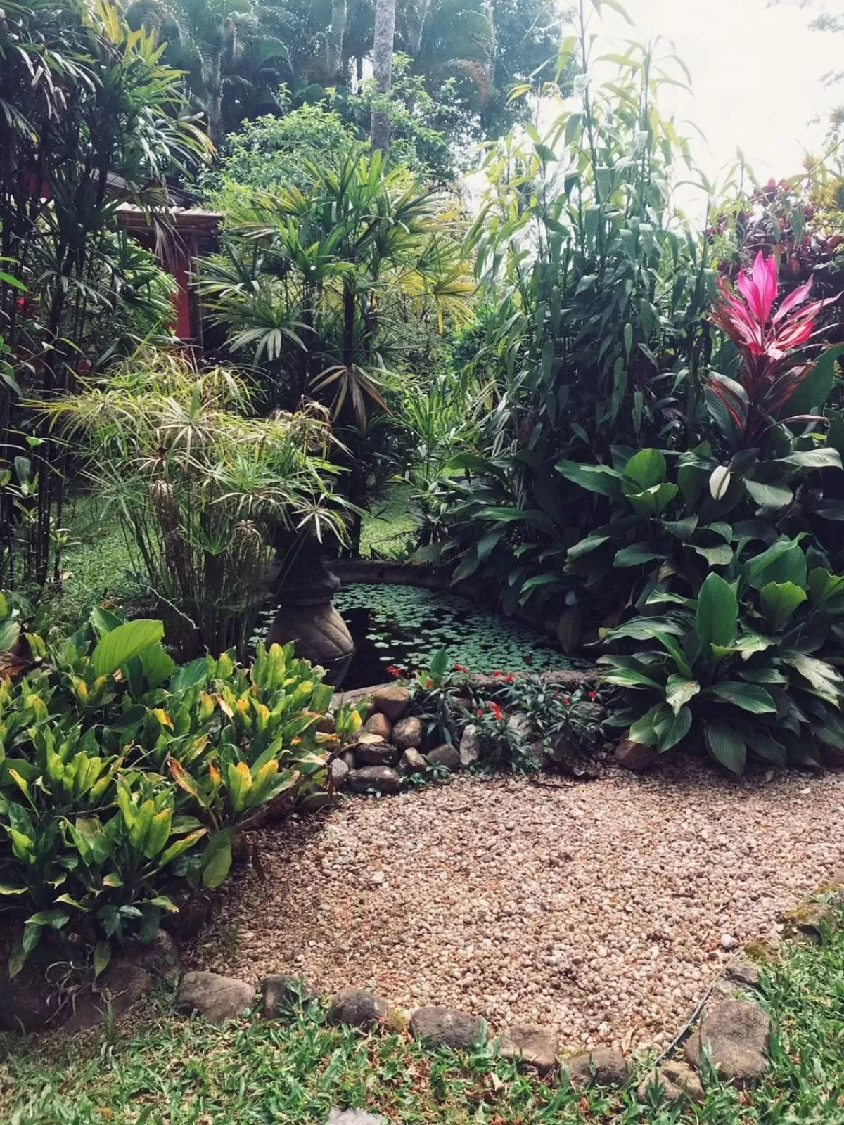 Garden in Pousada Canto Bella Terra