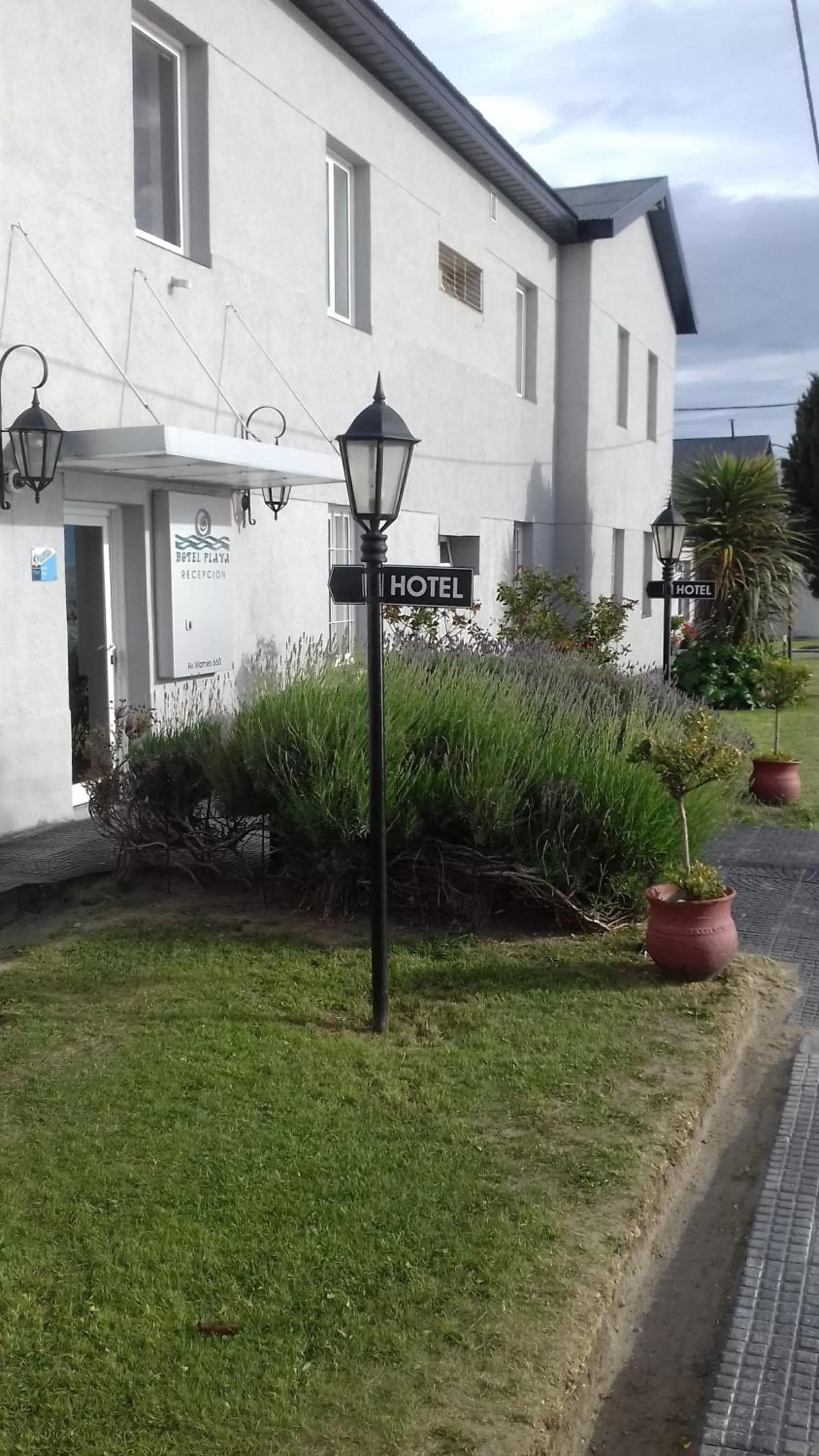 Garden in Hotel Playa
