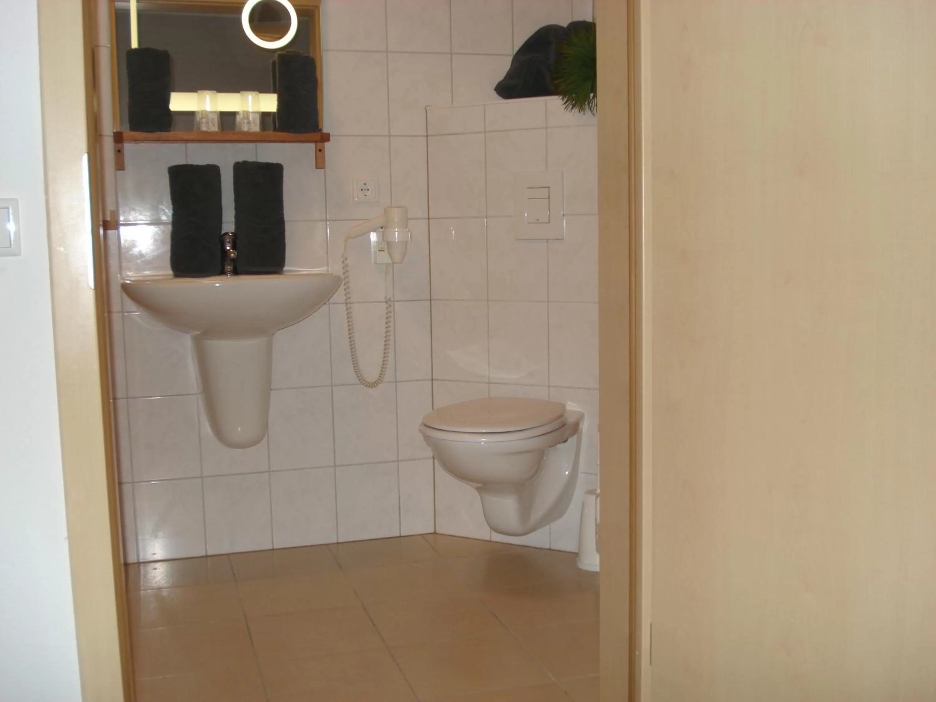 Bathroom in Hotel Restaurant Fritz