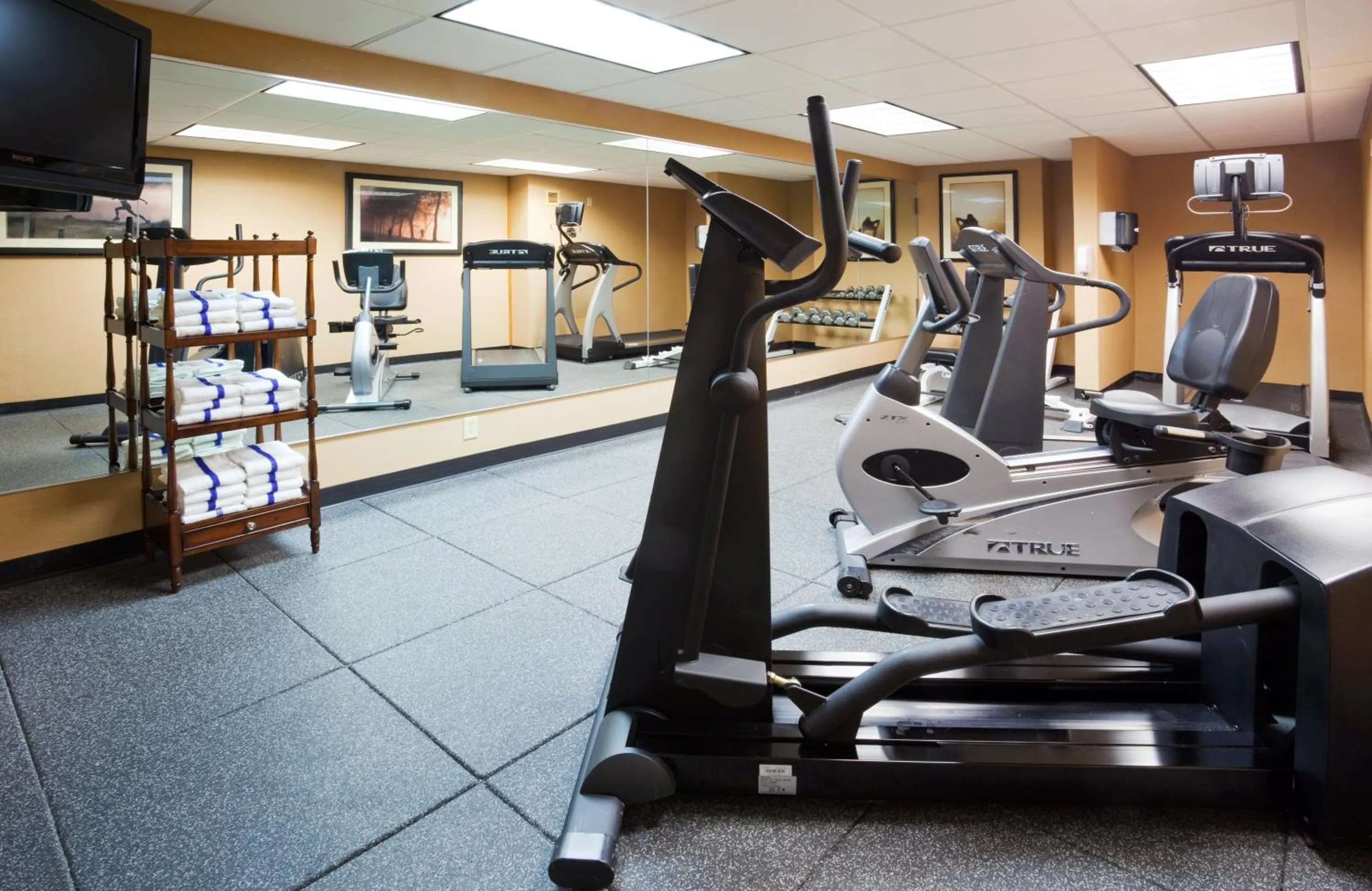 Fitness centre/facilities in Holiday Inn Bloomington Airport South-Mall Area by IHG