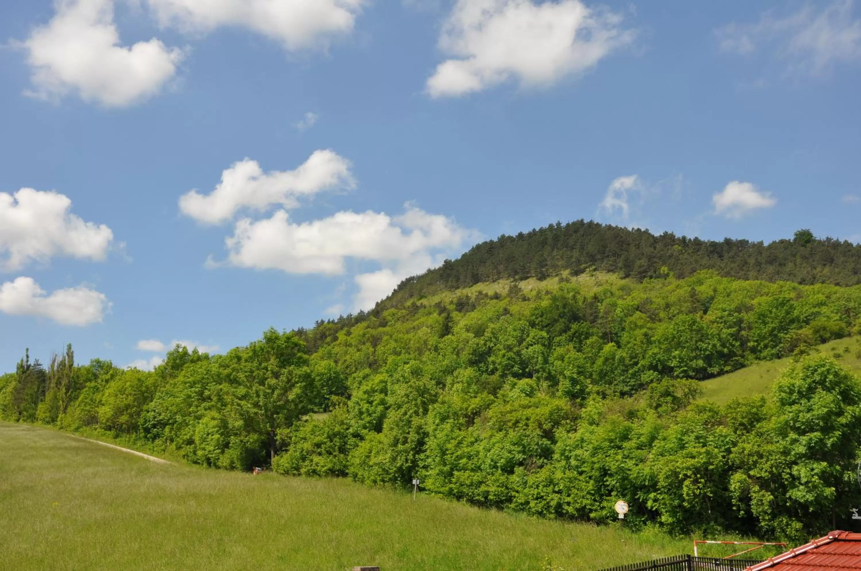 Natural landscape in Hotel Haus Orchideental Jena