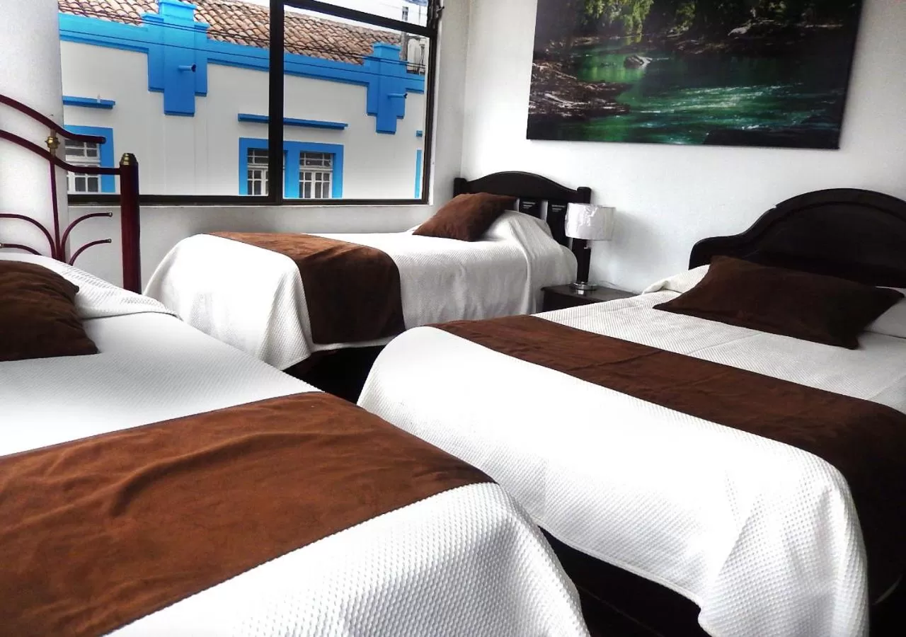 Decorative detail, Bed in La Merced Plaza Hostal