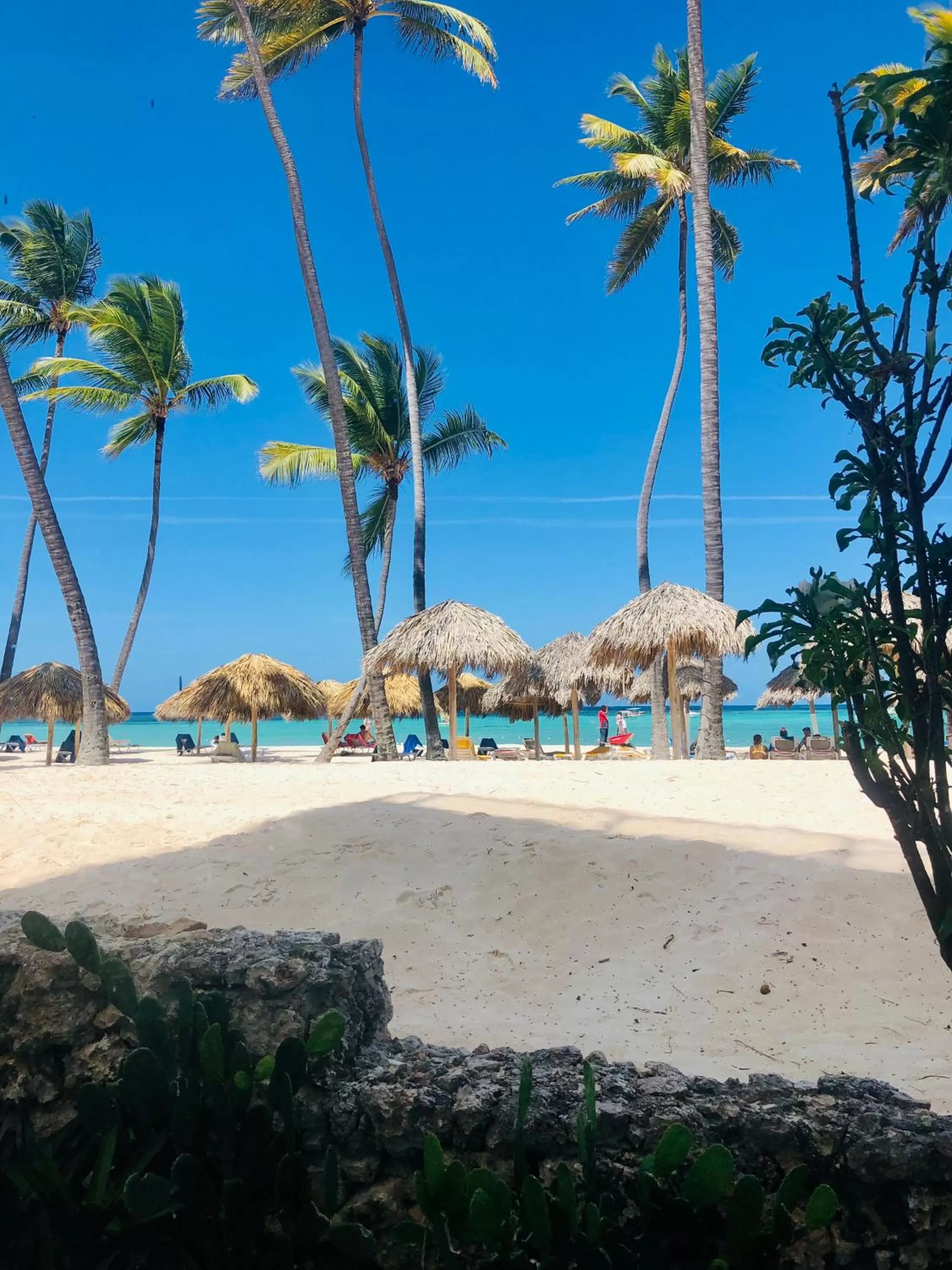 Beach in Los Corales Luxury Villas Beach Club and Spa