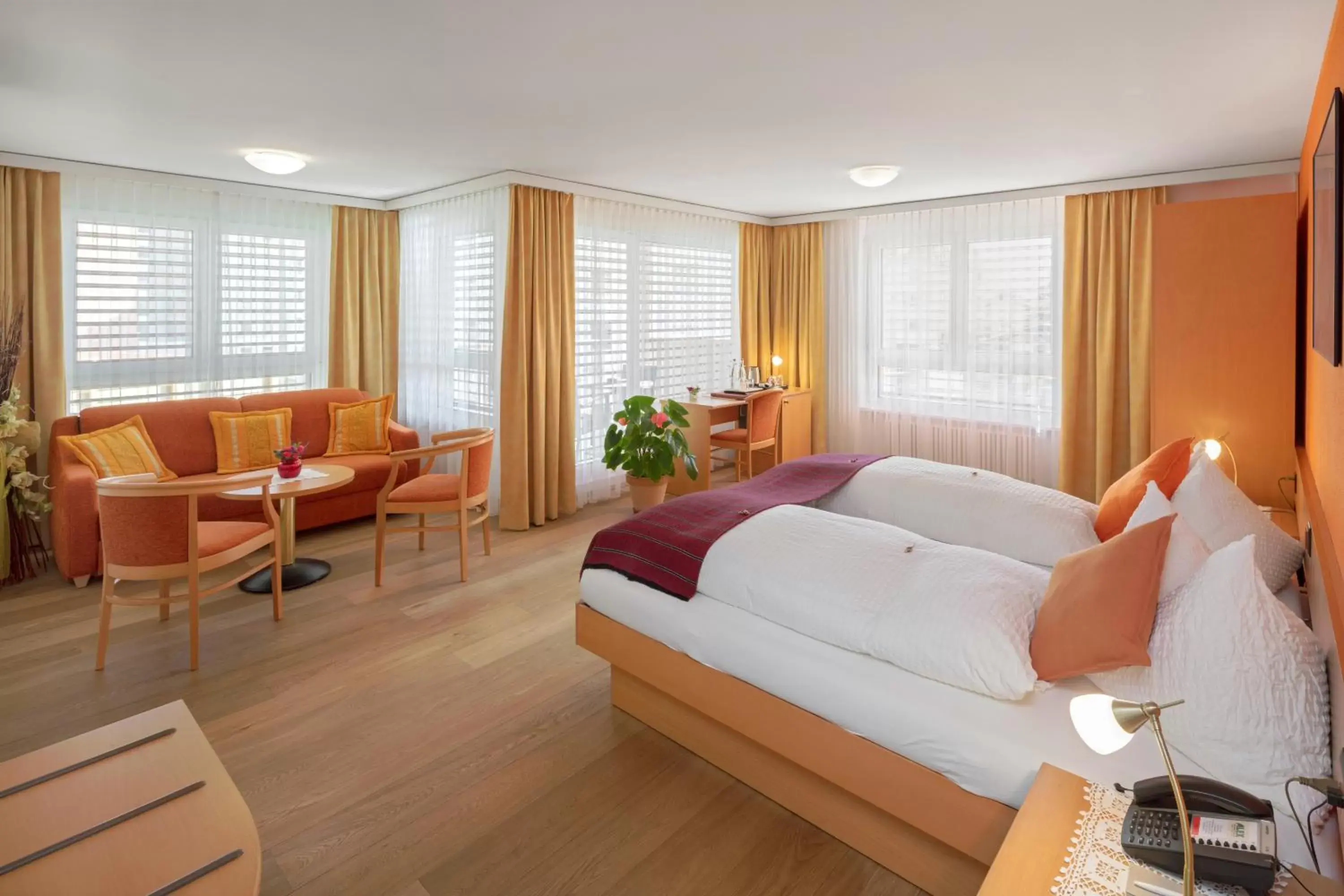 Deluxe Suite in Hotel Alex Business & SPA Deluxe Suite in Hotel Alex Business & SPA