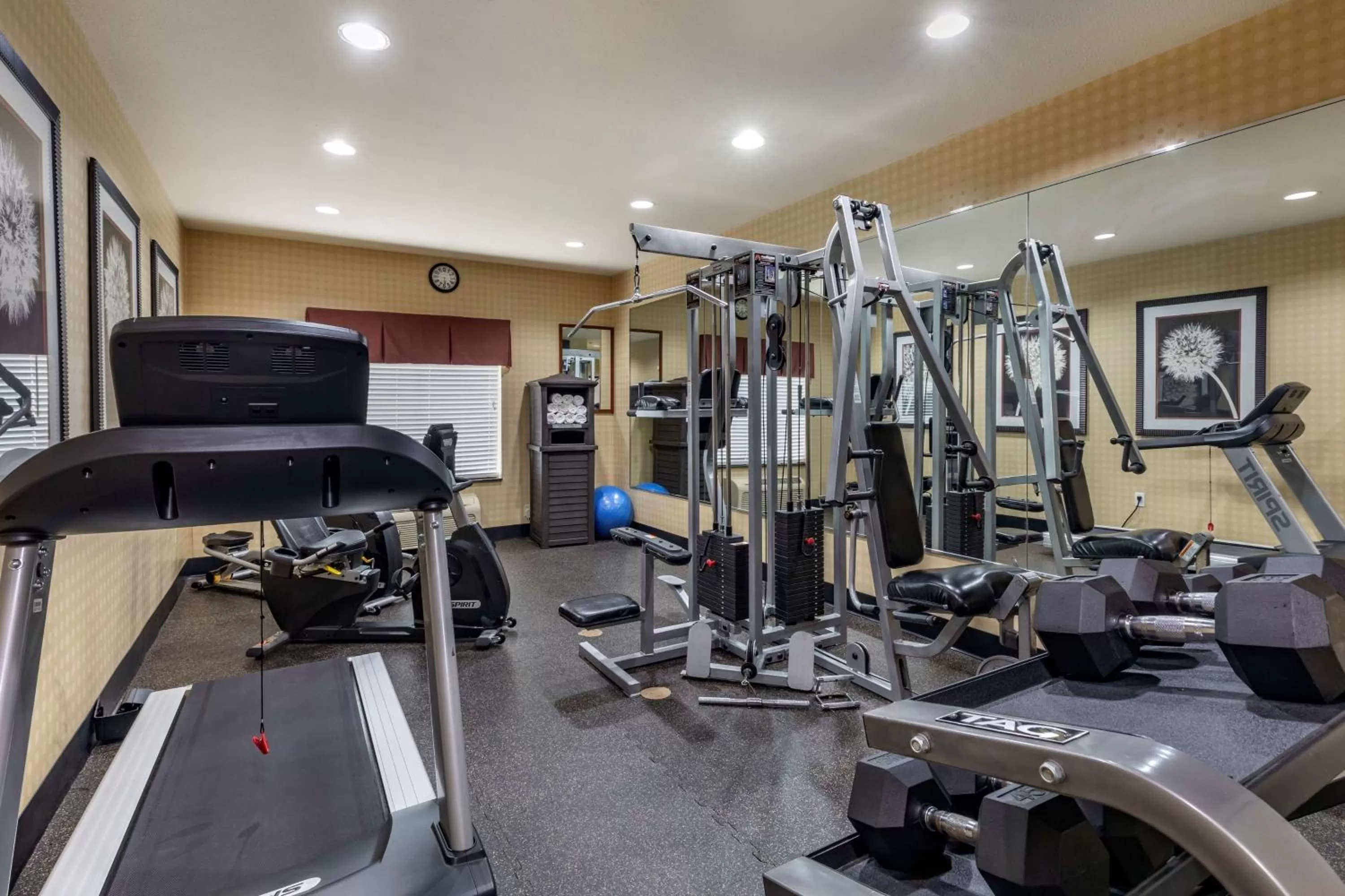 Spa and wellness centre/facilities in Best Western Plus DFW Airport West Euless