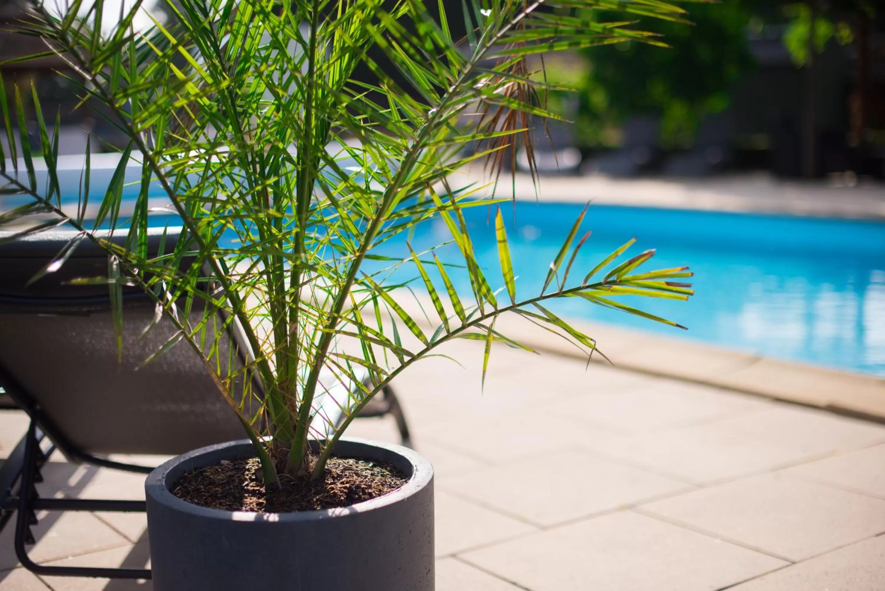 Swimming pool in Logis Hôtel Domaine du Moulin Cavier - Restaurants & Spa