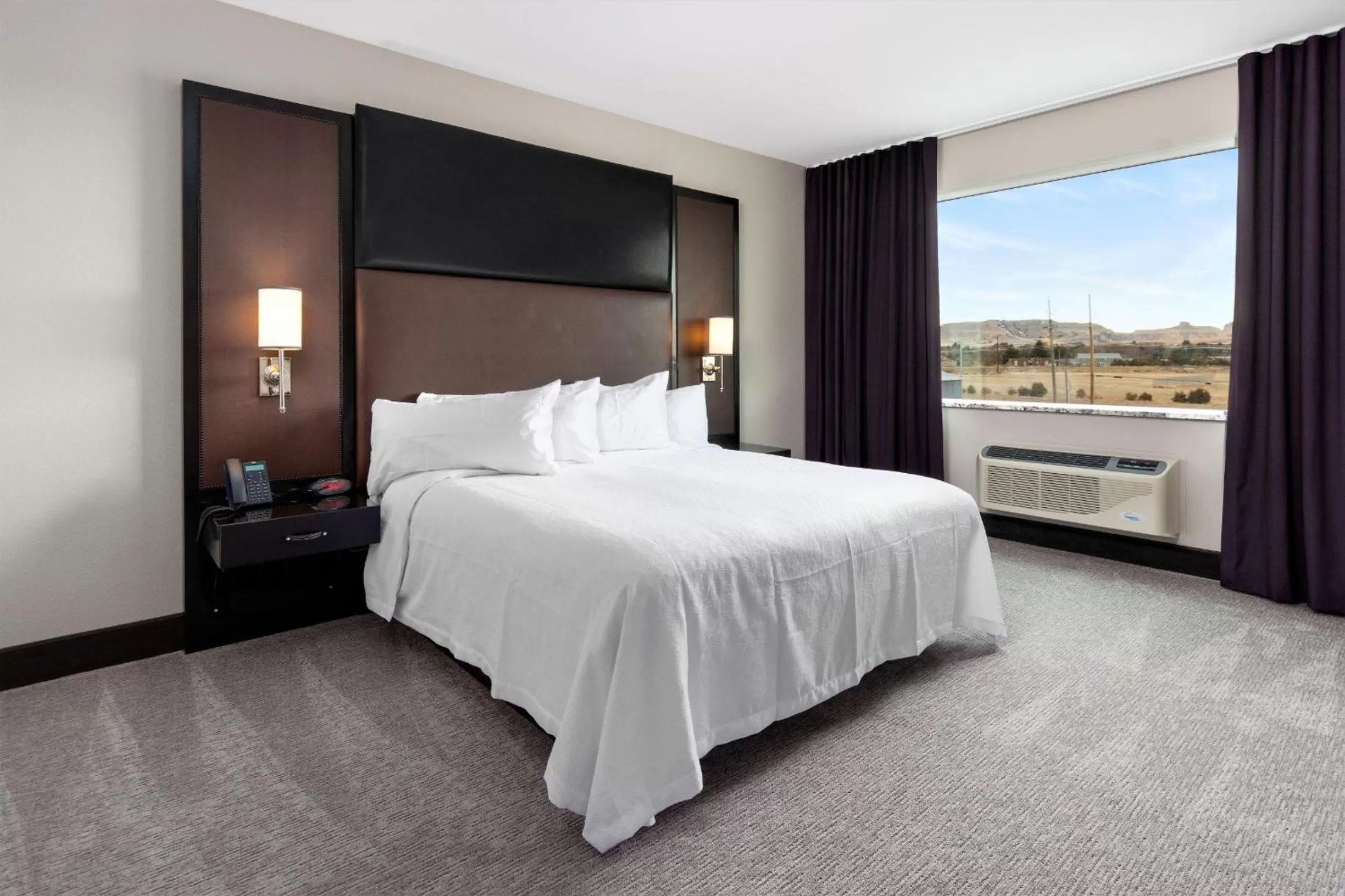 Deluxe King Suite in Hotel 21