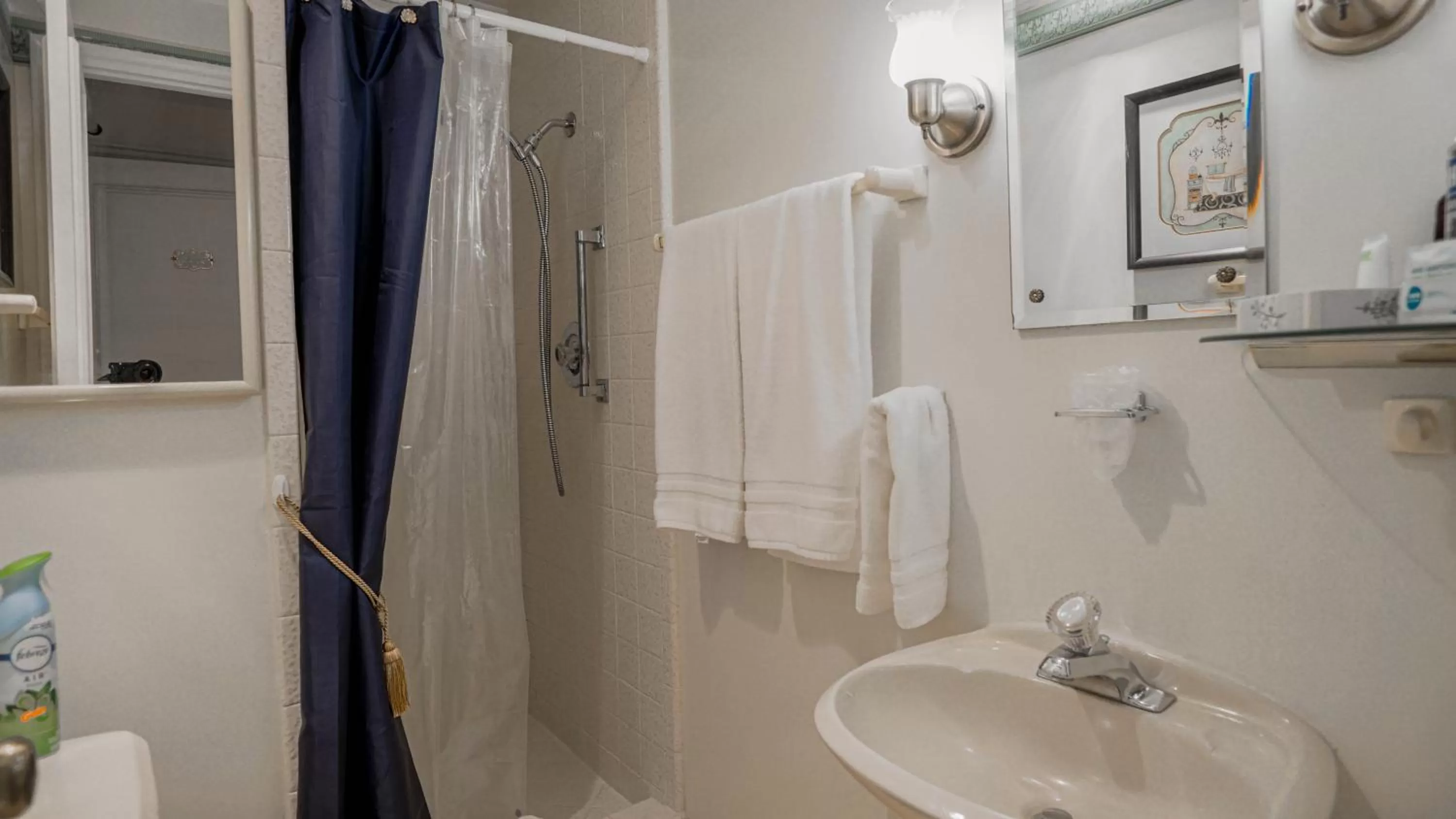 Shower in Heber Senator Bed and Breakfast