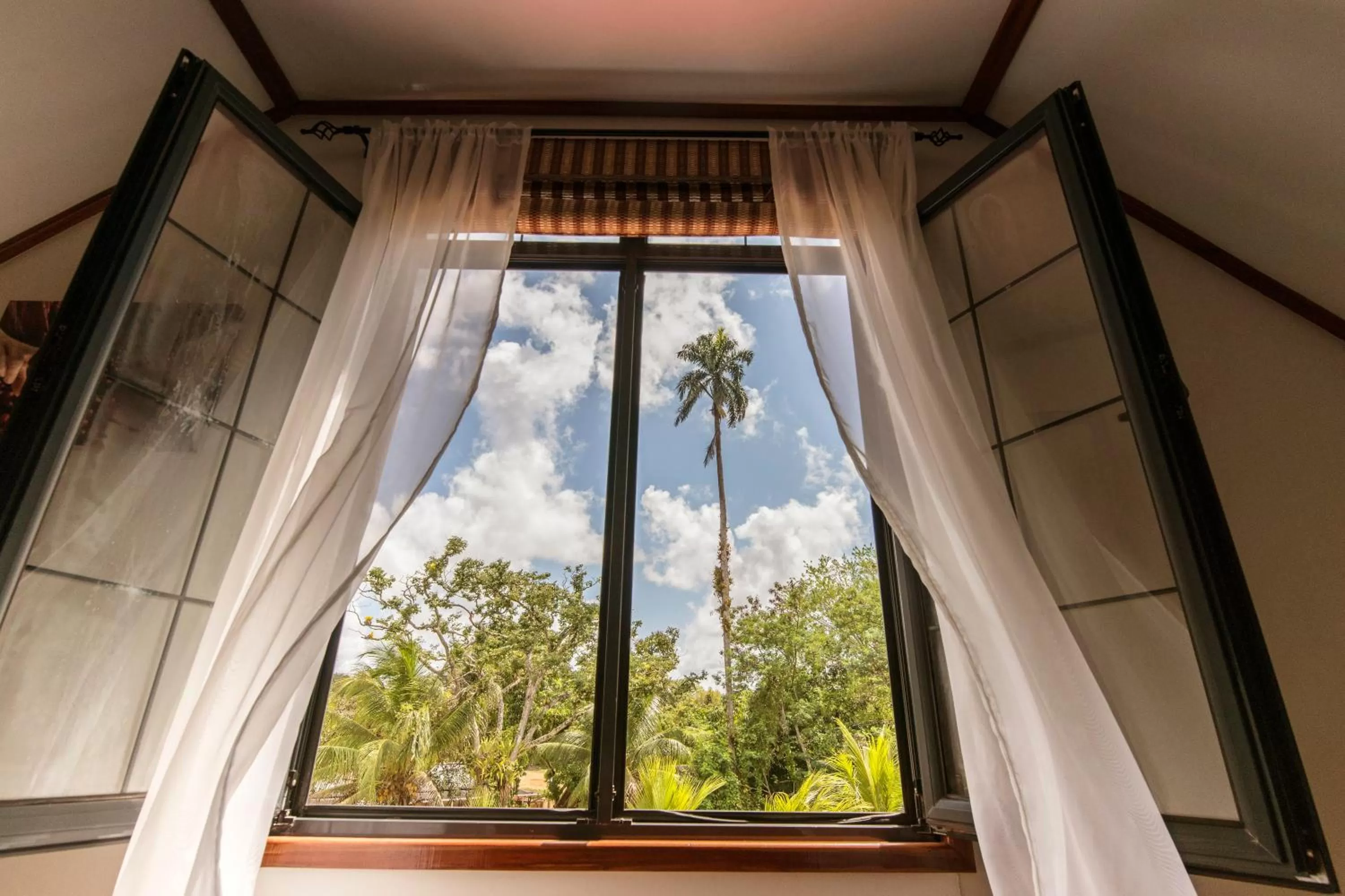 Day in Boutique Hotel Peperpot