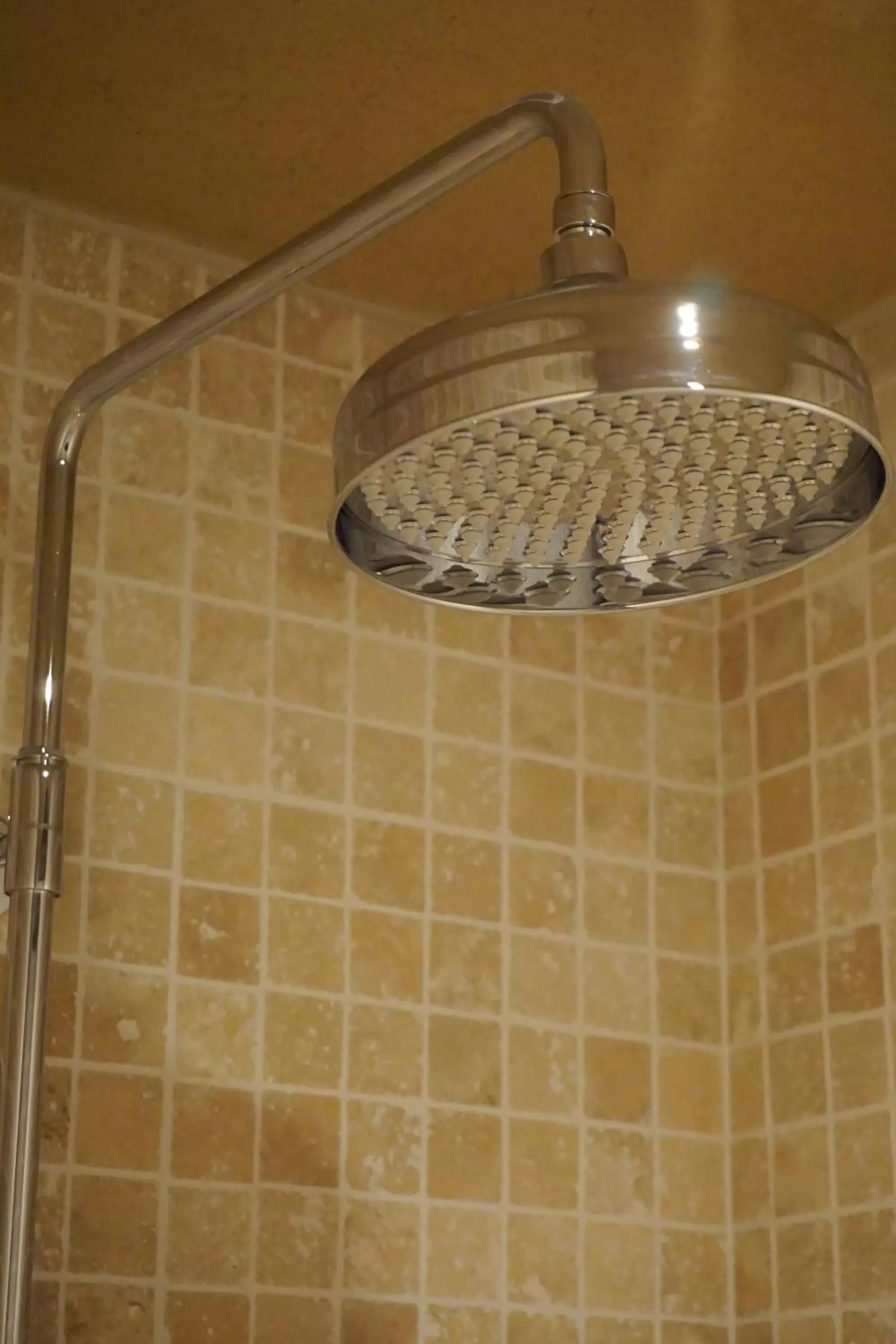 Shower in Boutique Hotel De Brakelhoen