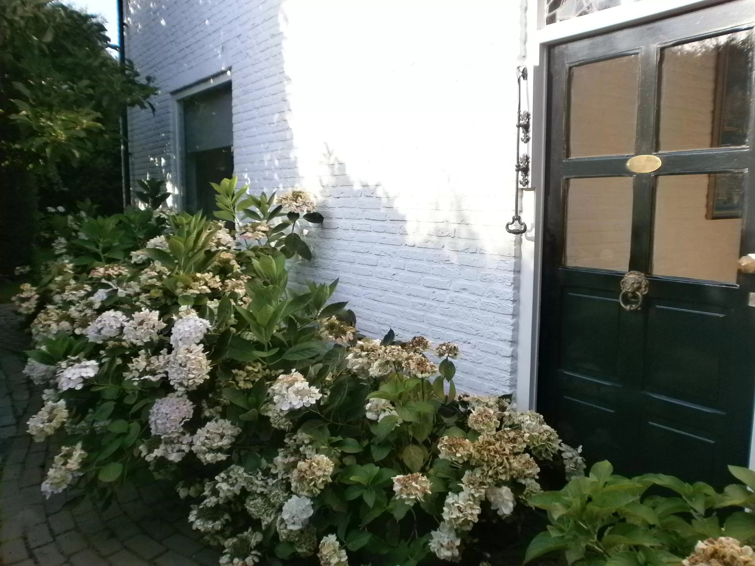 Summer, Property Building in Bed and Breakfast Azzurro