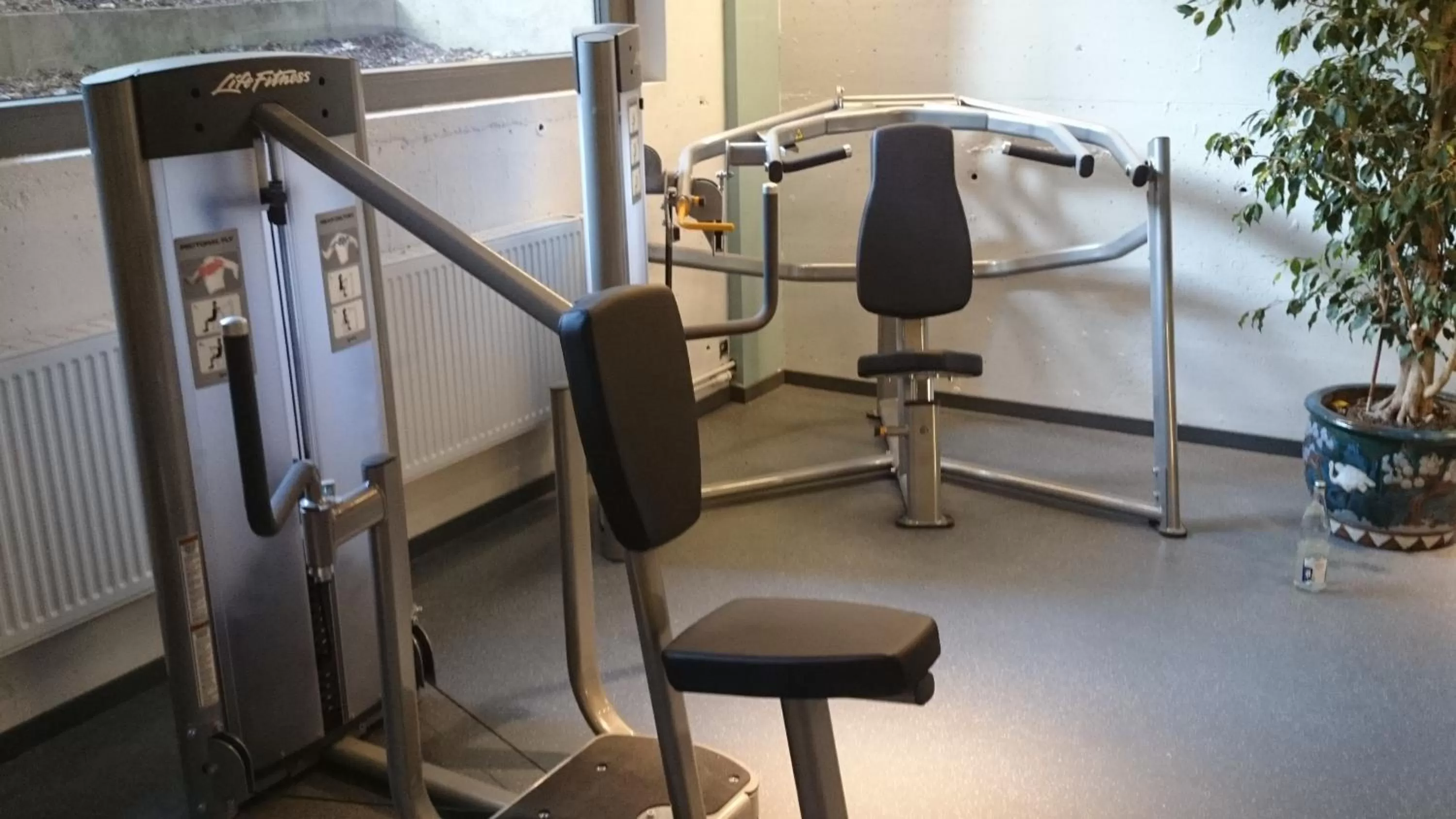 Fitness centre/facilities in Das Eckert - Lifestyle Design Hotel & Fine Dining bei Basel (Grenzach)